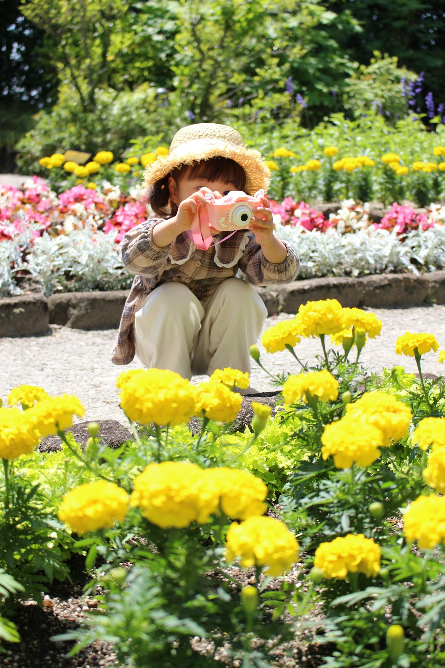 A woman sitting among yellow flowers holding a camera