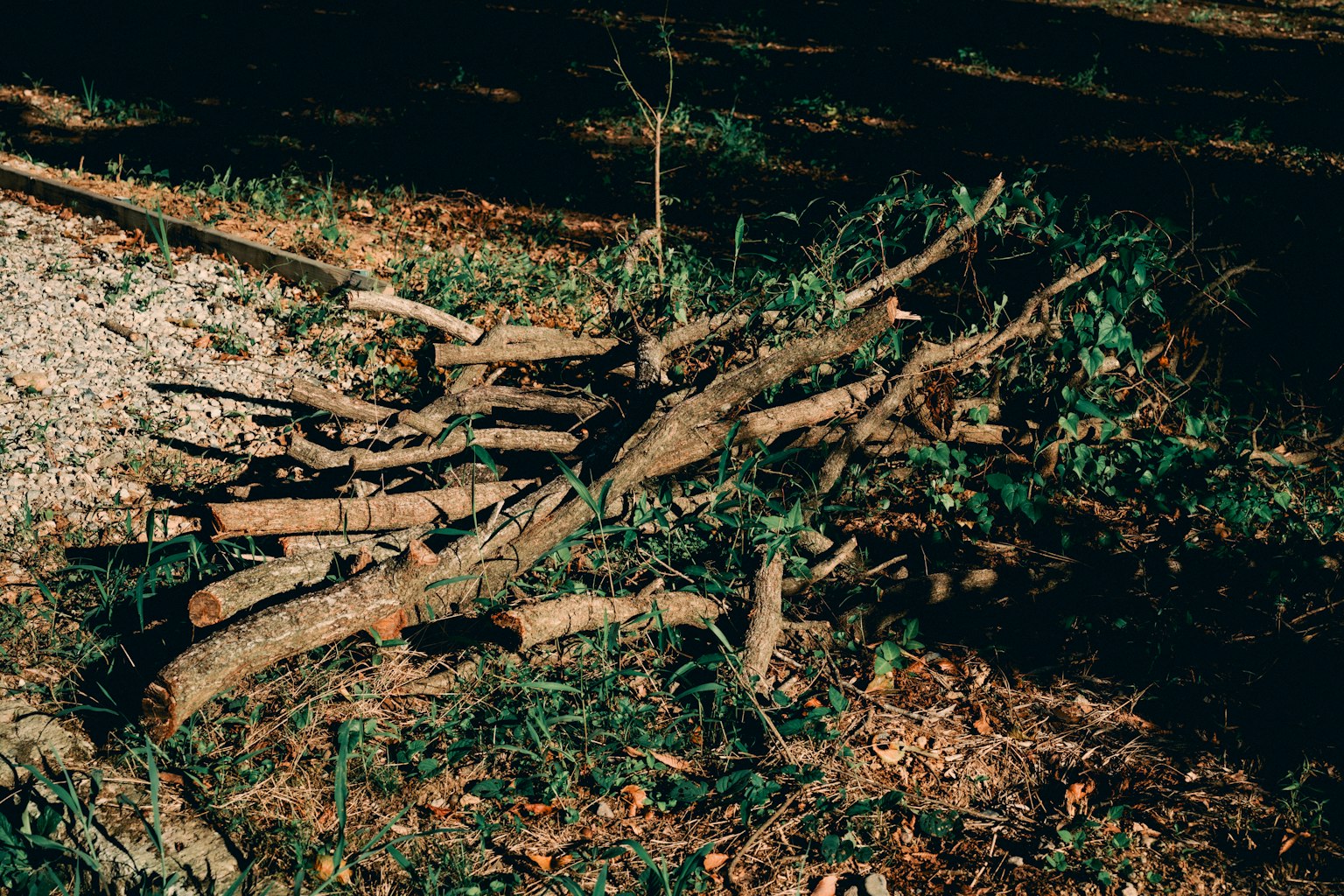 photo-SYPN0gxzJ04SVzHDl1Ev-image