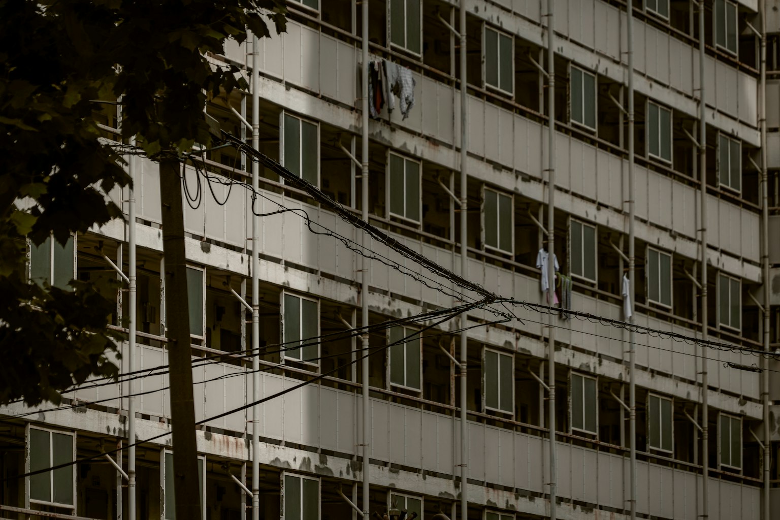 Trabajadores en andamios limpiando la fachada de un edificio con filas de ventanas