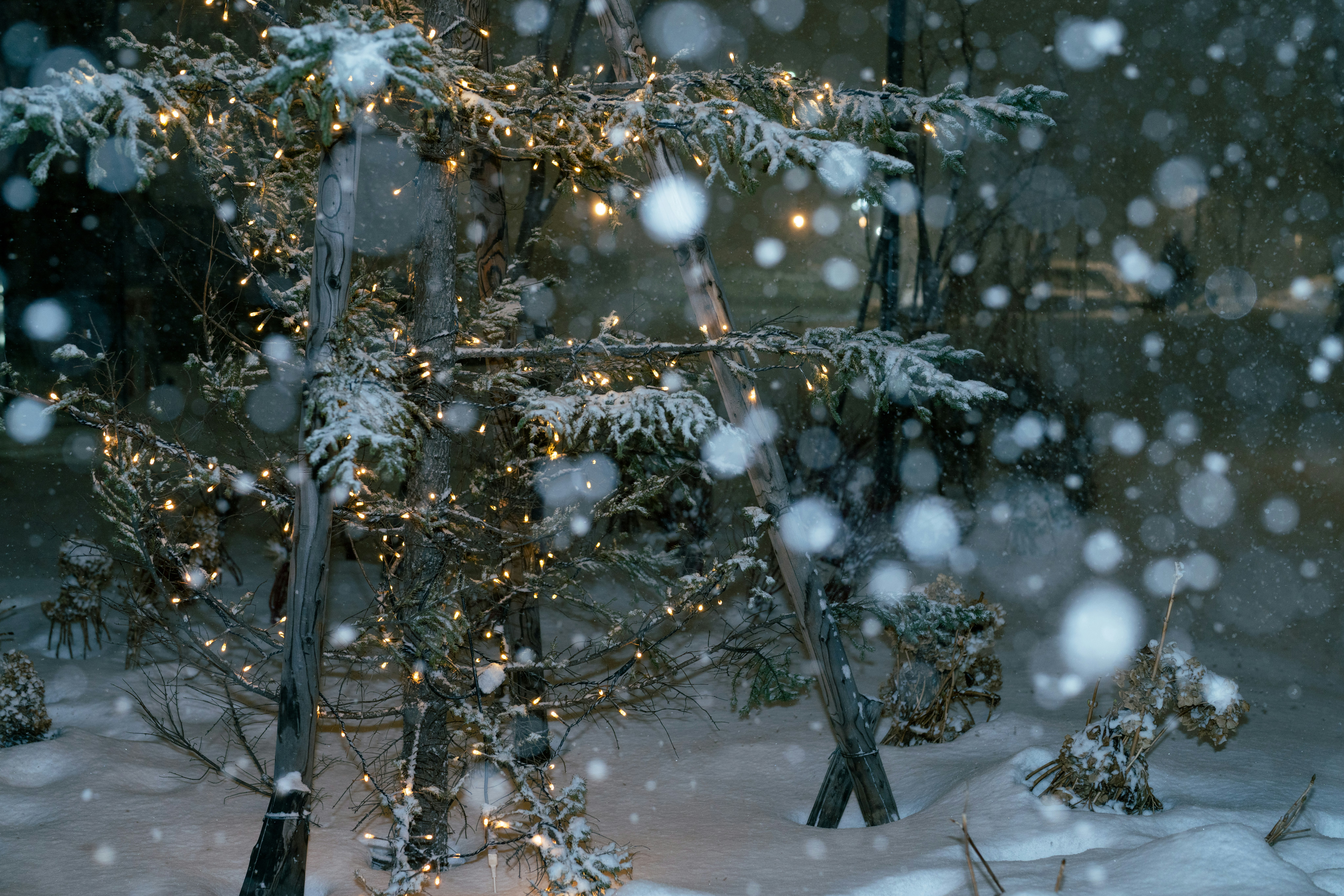 snowfall in a forest with twinkling lights among trees