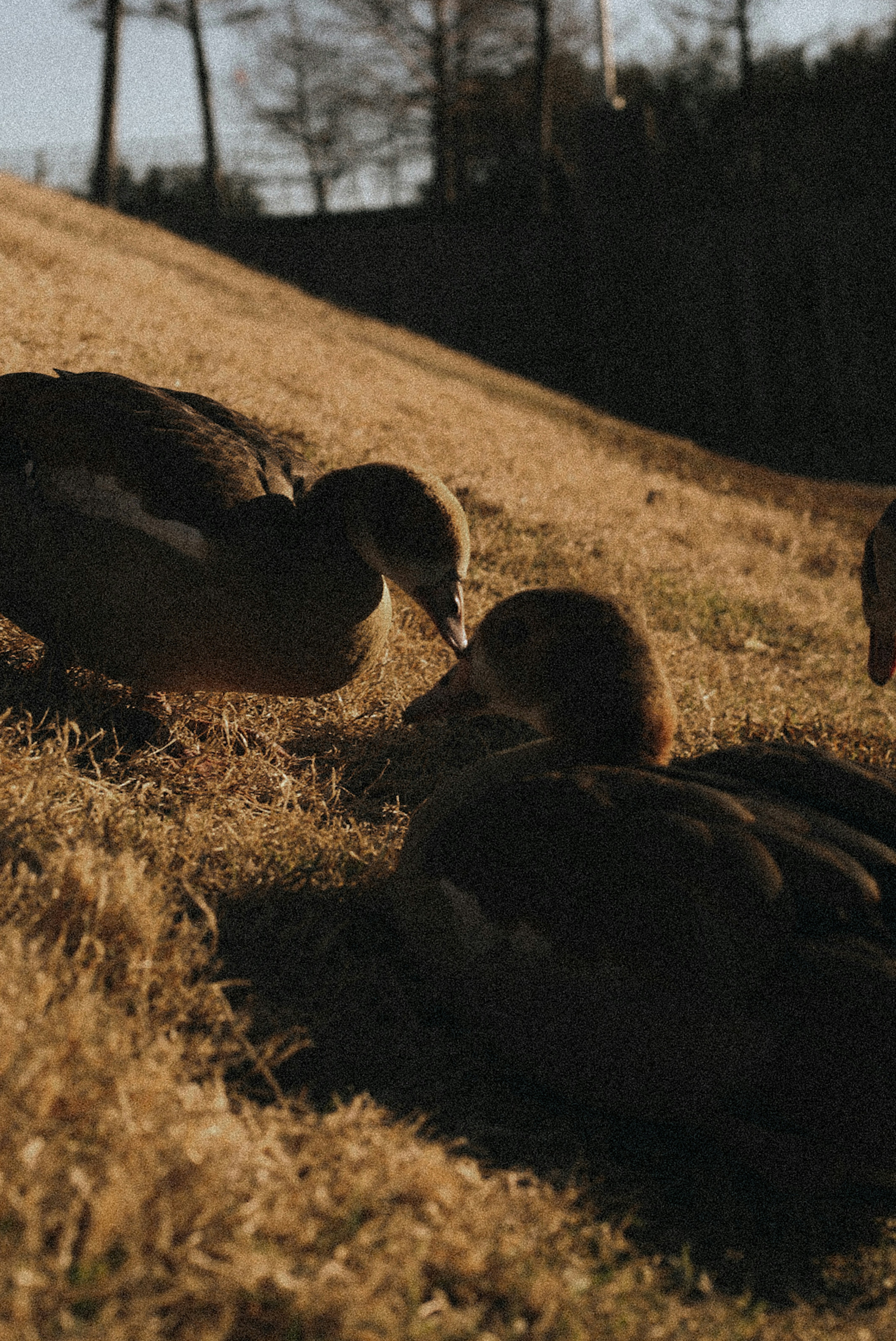 photo-SZD43FJPUpDUQpLFcEYu