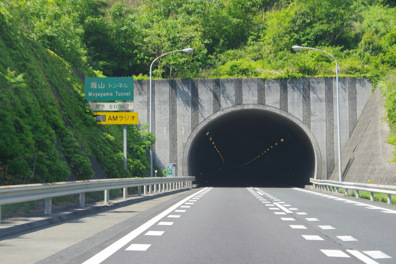 Entrada de túnel rodeada de vegetación y carretera