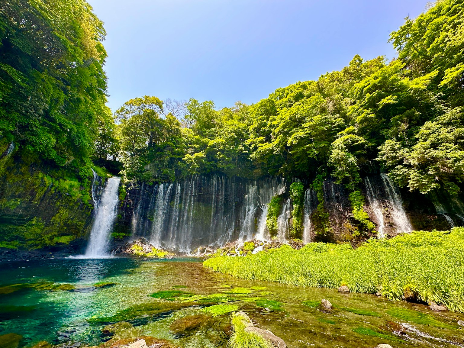 Belle cascade entourée d'une végétation luxuriante
