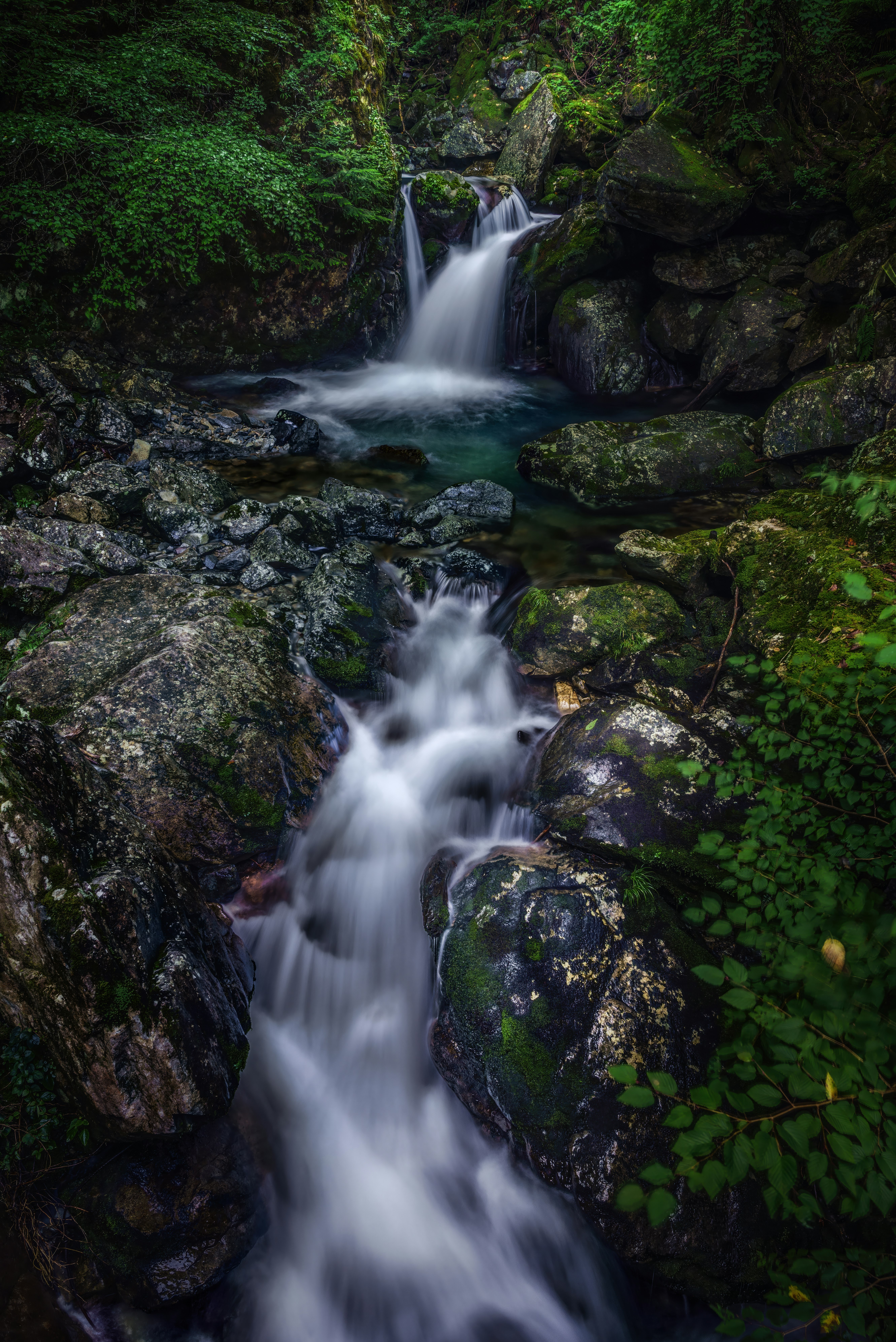 photo-SZOSMCCeLEYFl2xeTh11-image