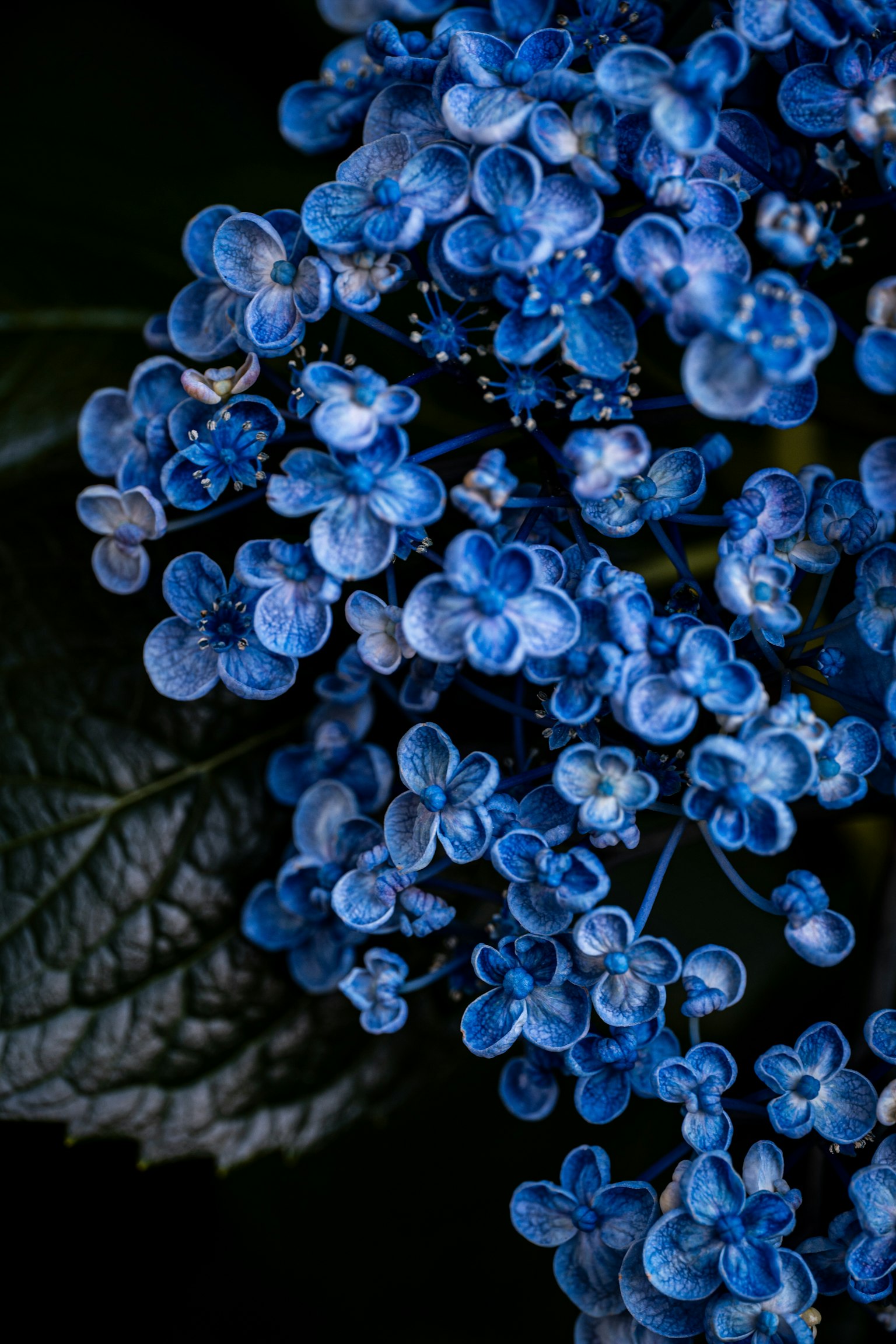 photo-SZbnokymyAItGz2B3kPl-image