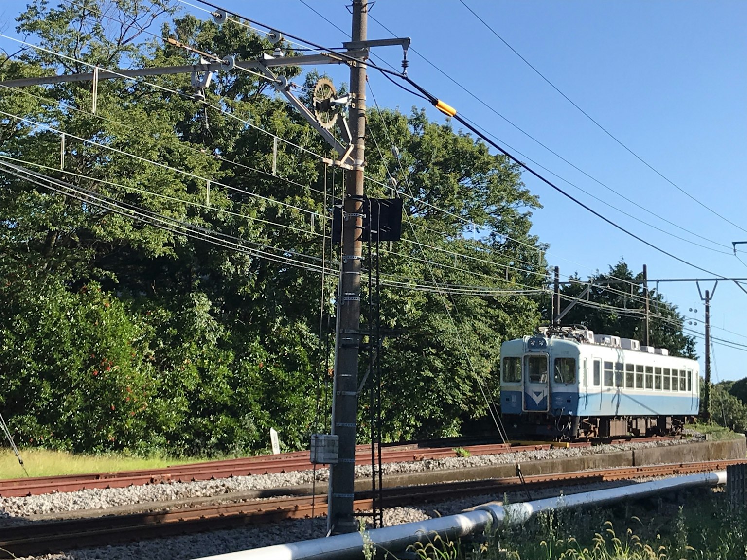 Un treno blu che passa vicino ad alberi verdi sotto un cielo blu chiaro