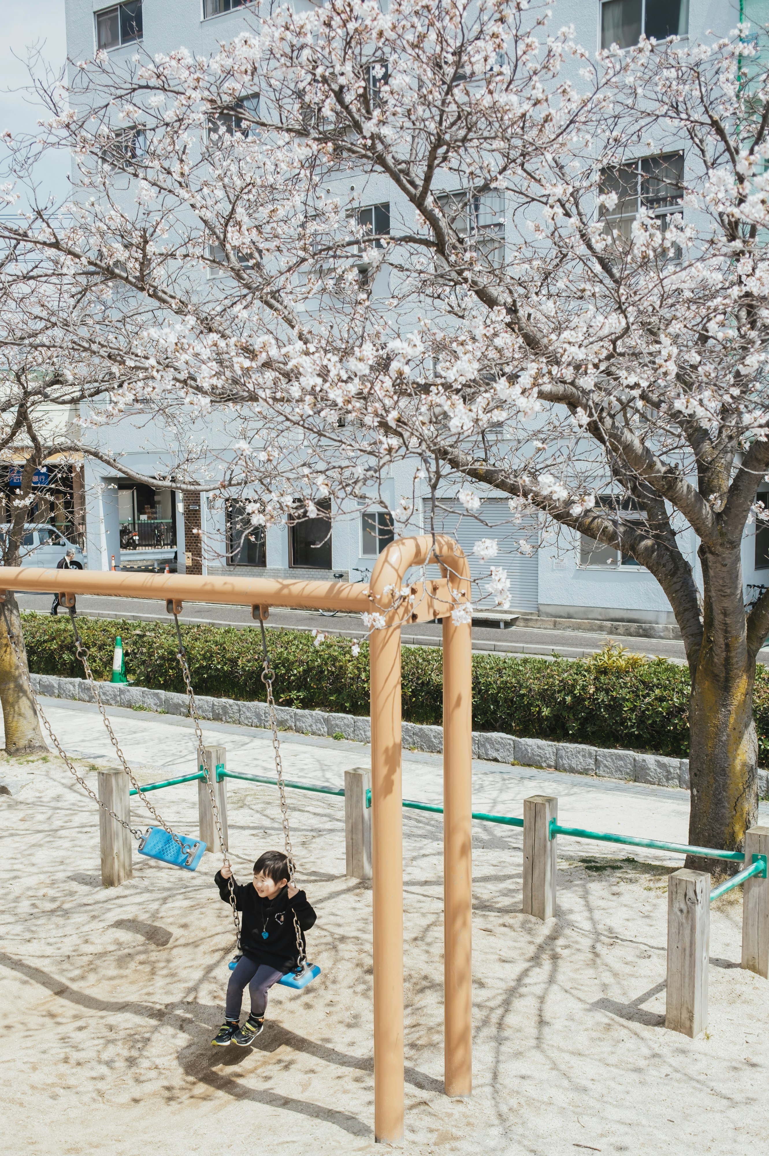 春の桜並木と子どもが遊ぶ屋外の小道