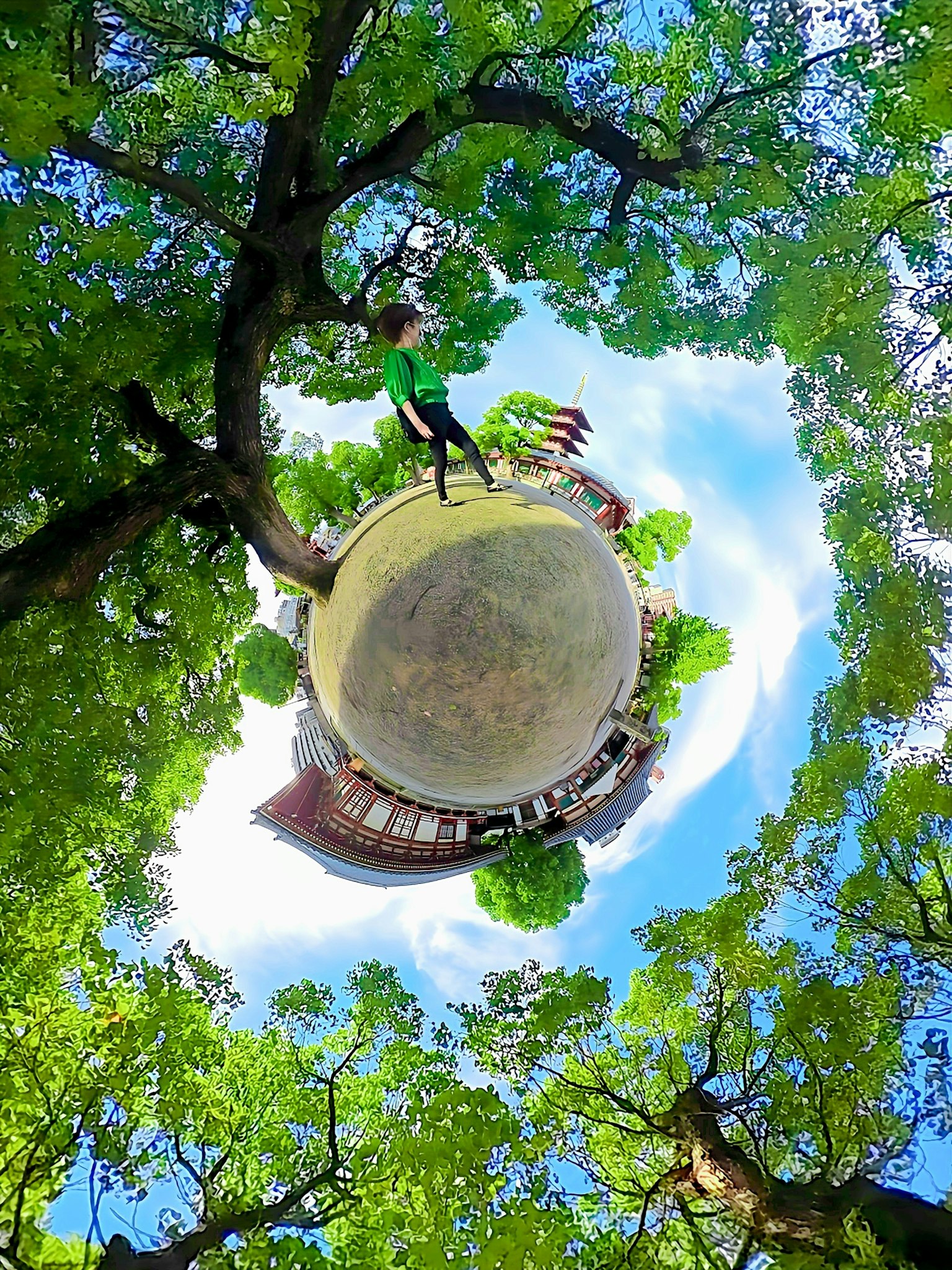 Người đang chơi trong công viên hình tròn được bao quanh bởi lá xanh