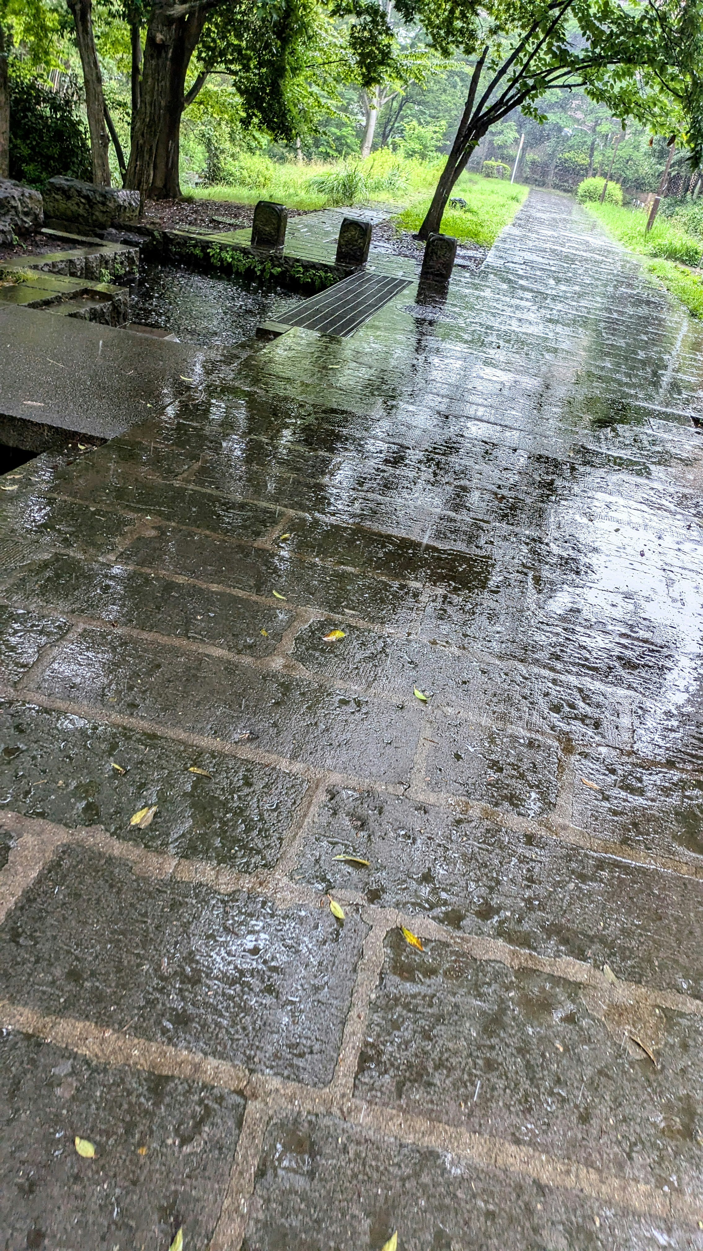 雨後公園石板小徑與積水水窪