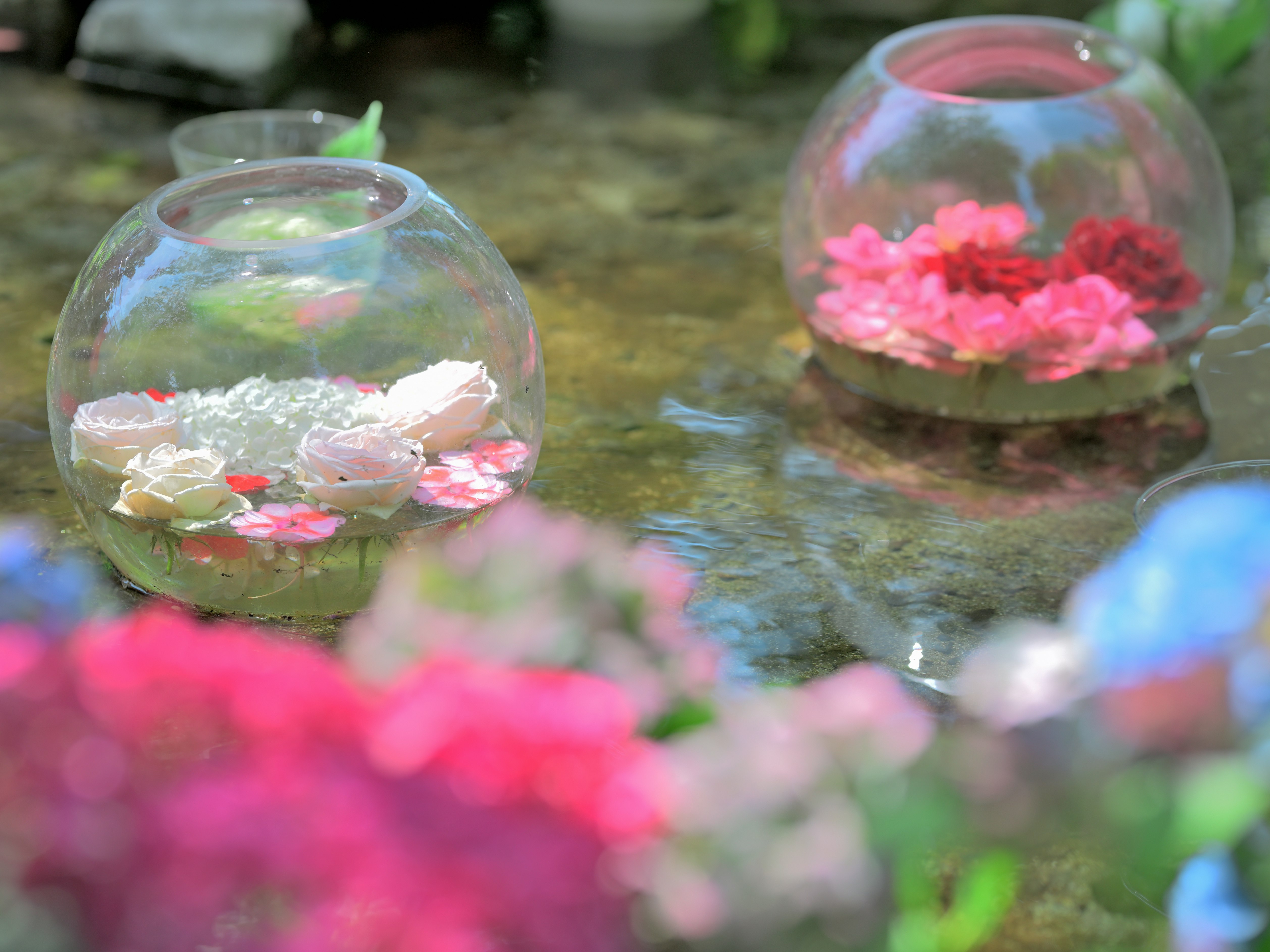Glasvase mit pinken Blumen am Wasser