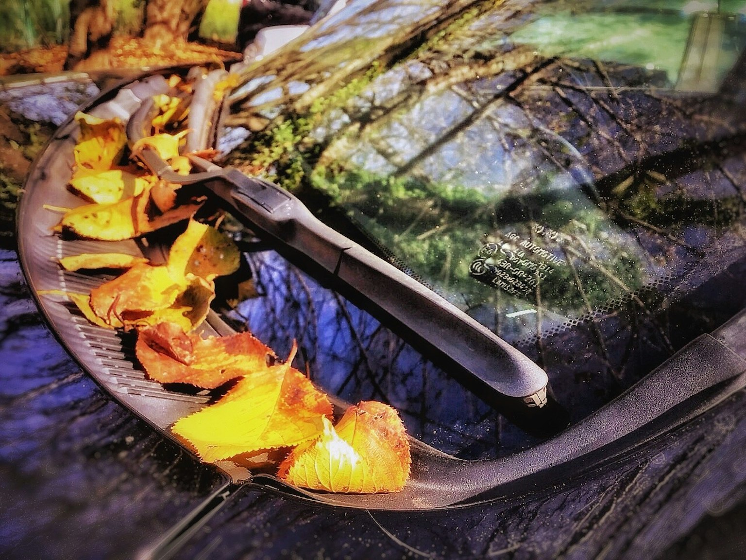Feuilles d'automne sur un pare-brise noir avec un essuie-glace