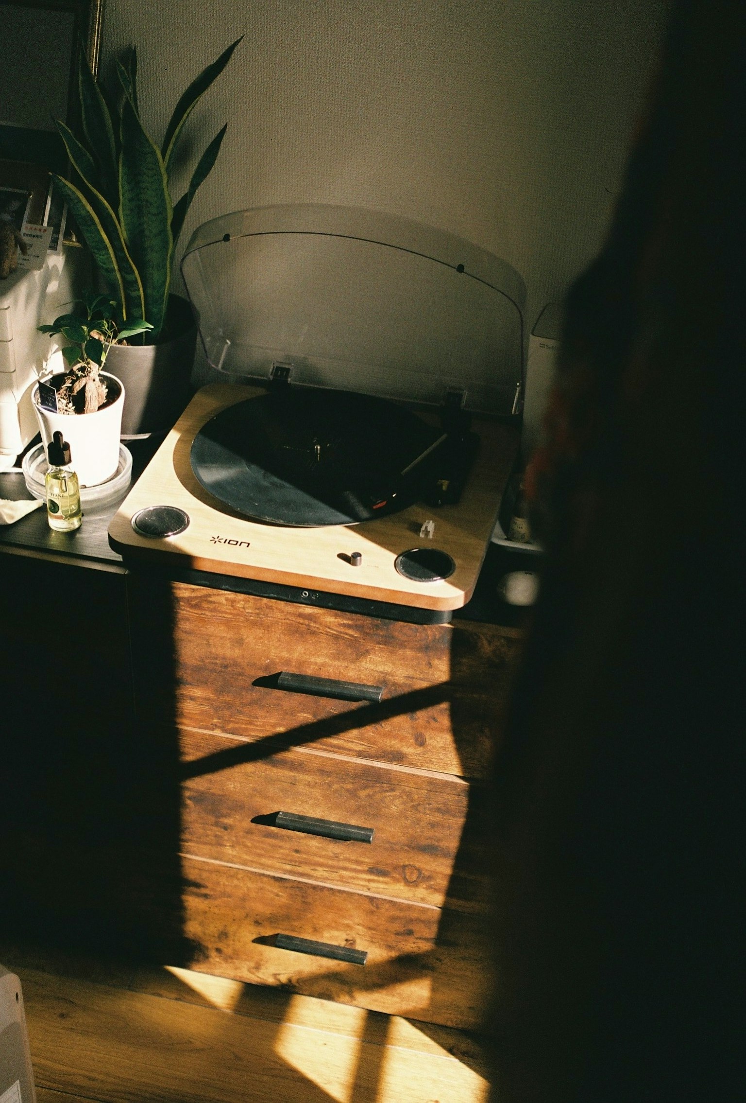 Un tocadiscos sobre un mueble de madera con una planta de interior cerca