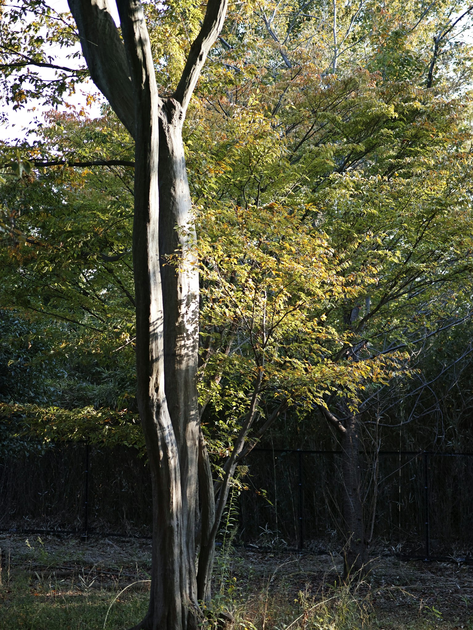 photo-SanHkDhxQRuD3O4iAs2o-image