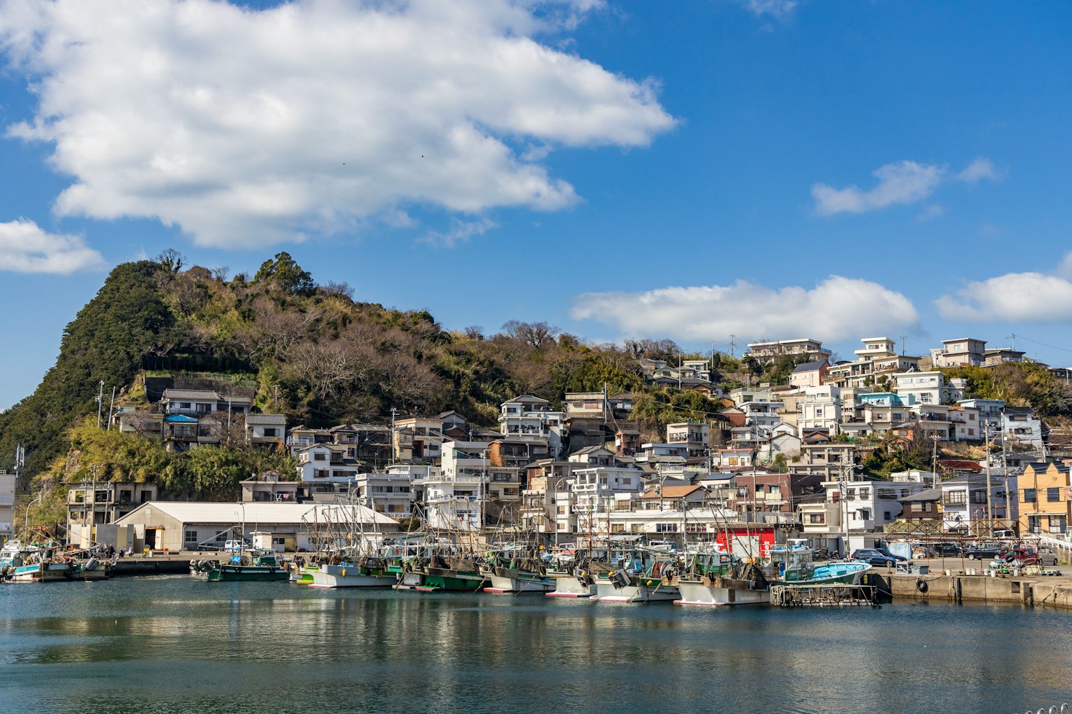 风景如画的港口城镇，五彩斑斓的房屋排列在山坡上