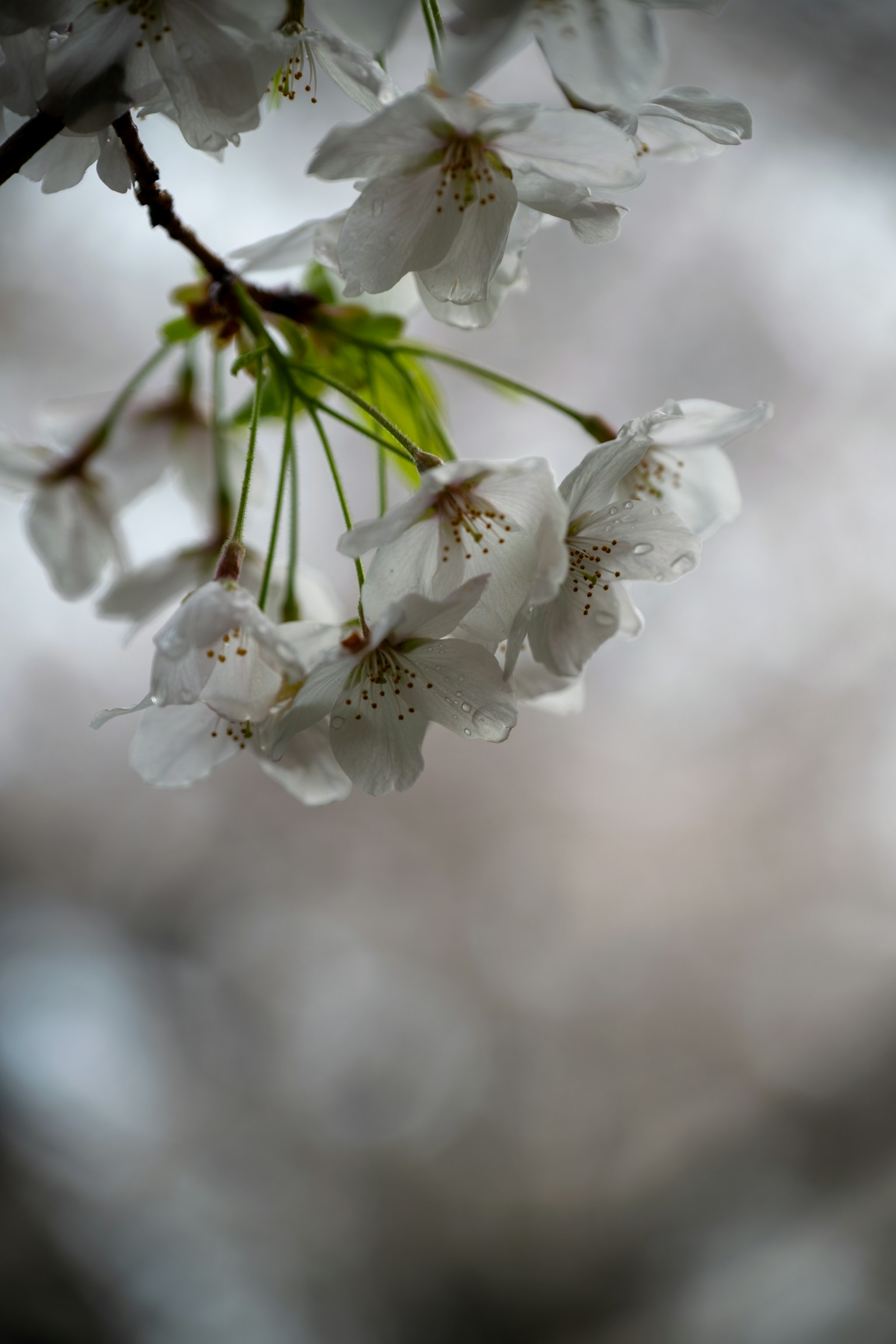 photo-Sc2kfRSeMiT77YdQhrqs-image