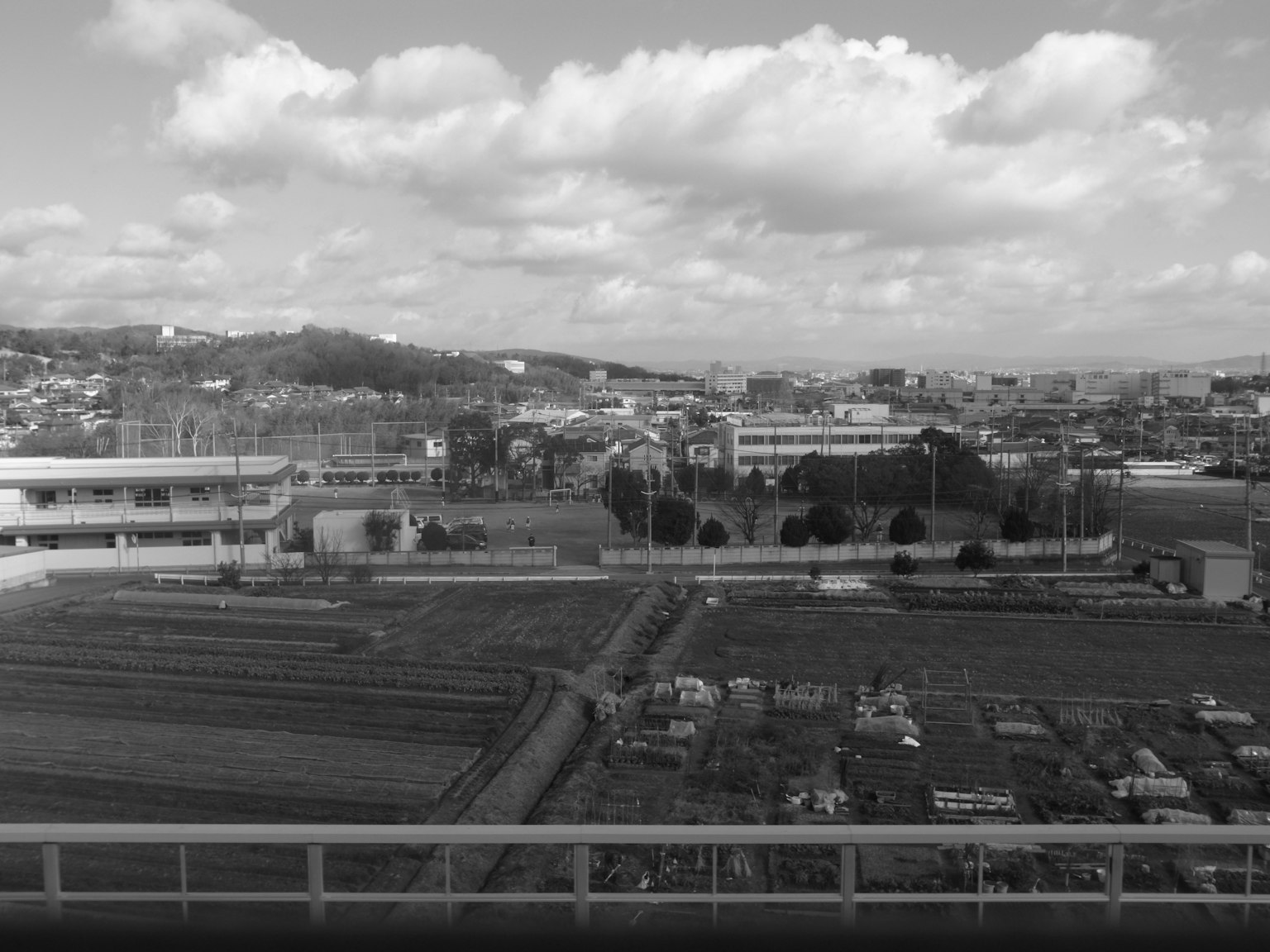 Black and white landscape photo featuring expansive rice fields and a town view