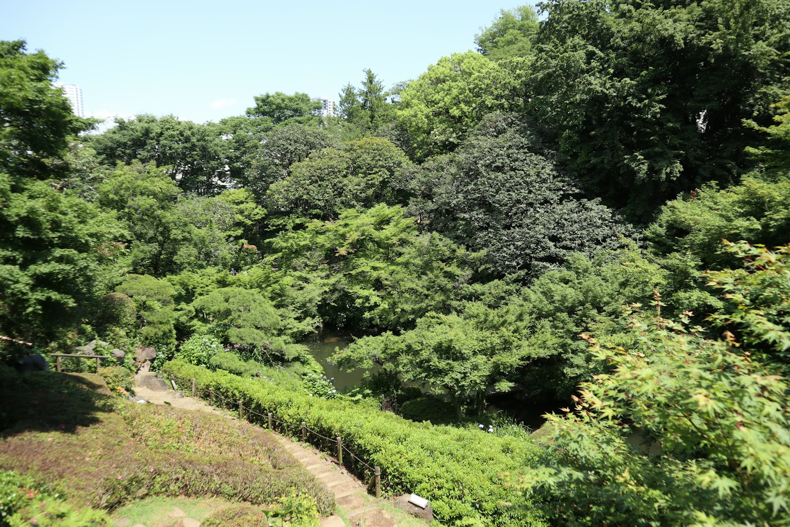 Lush green park landscape with blue sky trees and walking path
