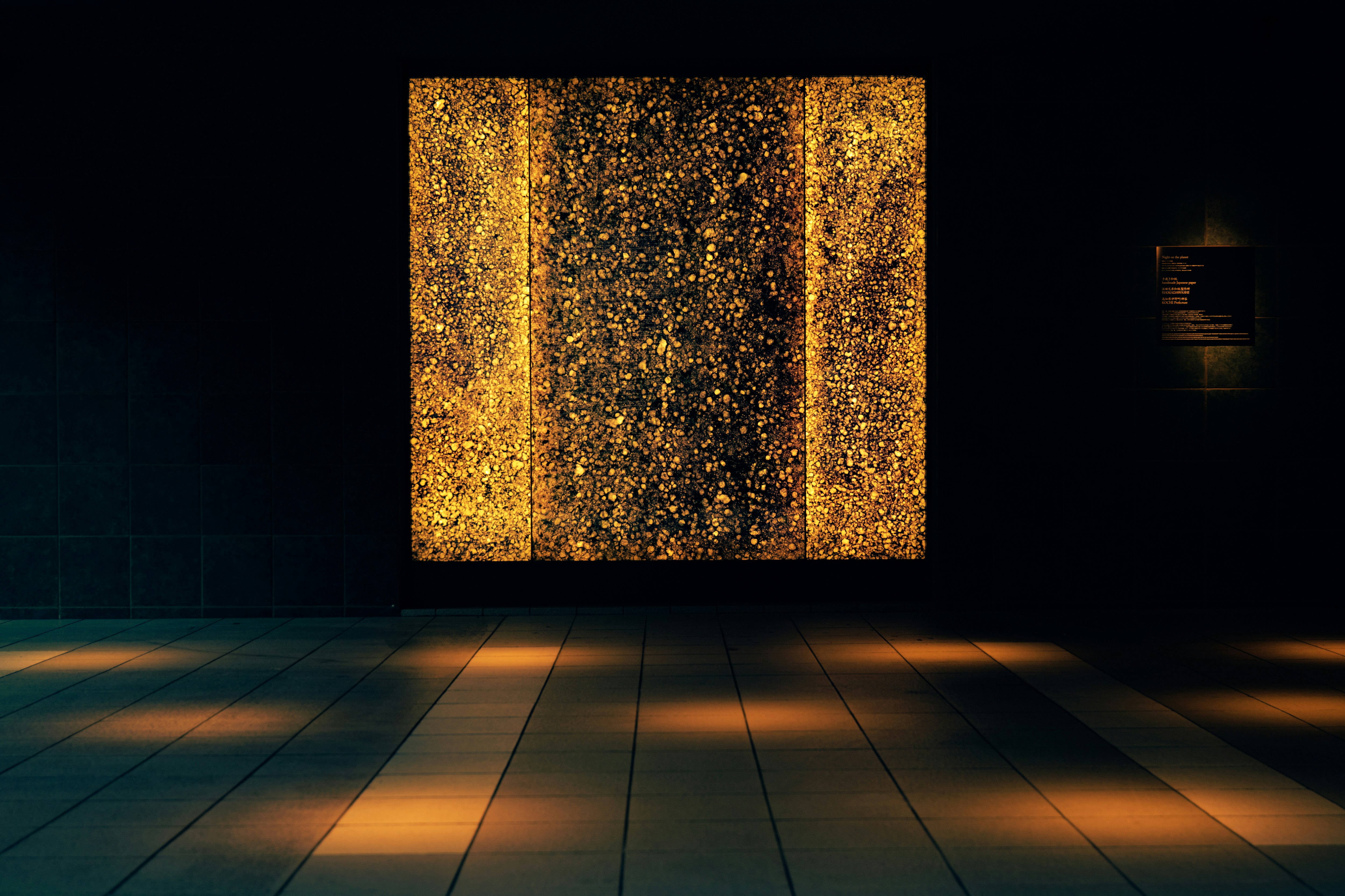 Hotel Asia Kaikan entrance with sparkling architectural night lights