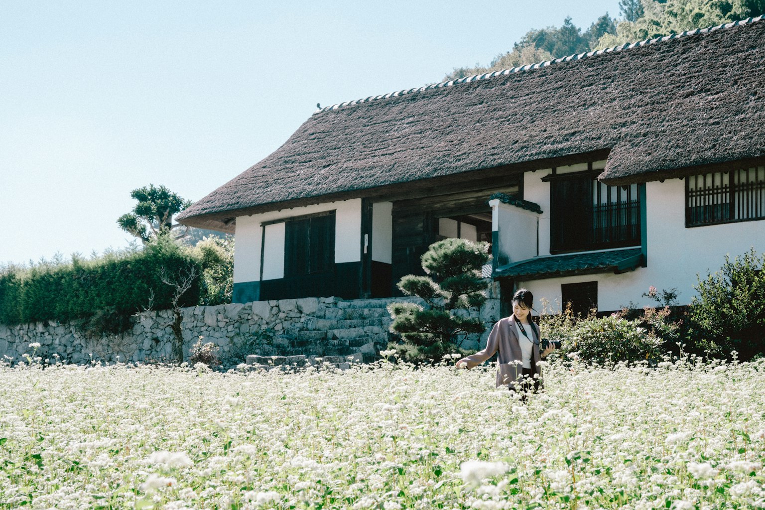 Casa japonesa tradicional rodeada de un campo de flores