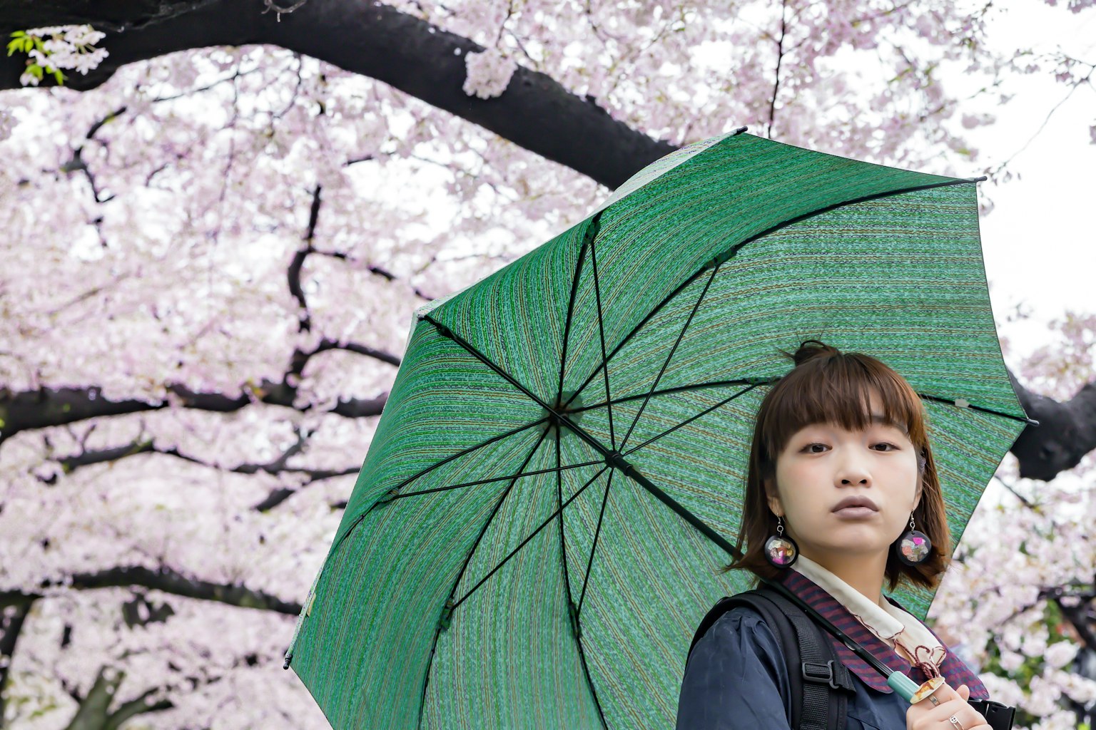 Ragazza con un ombrello verde sotto i ciliegi in fiore