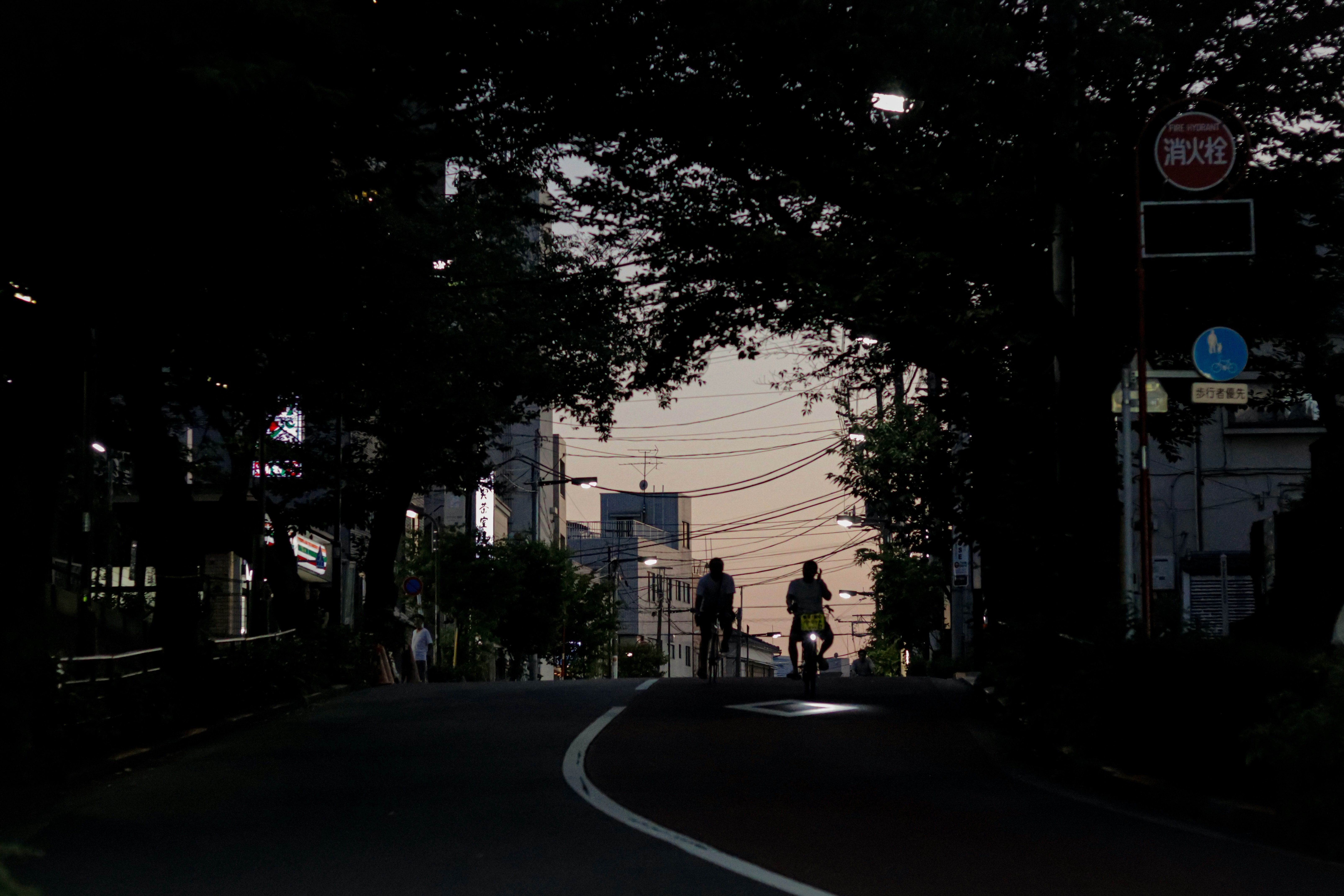 silhouettes of people walking along a curving road lined with street trees