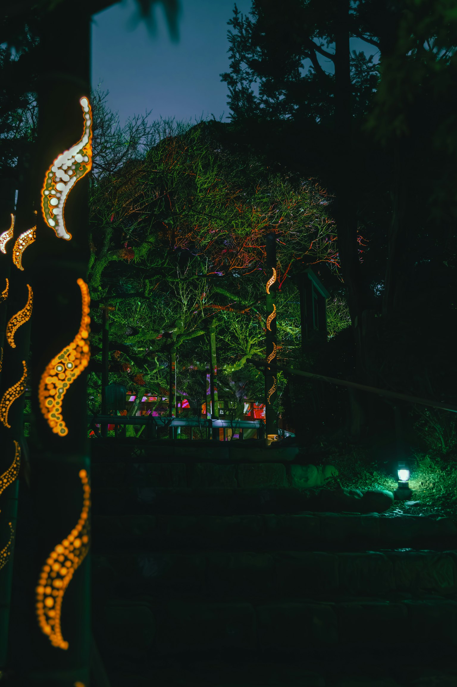 夜間花園中的裝飾元素和綠色樹木