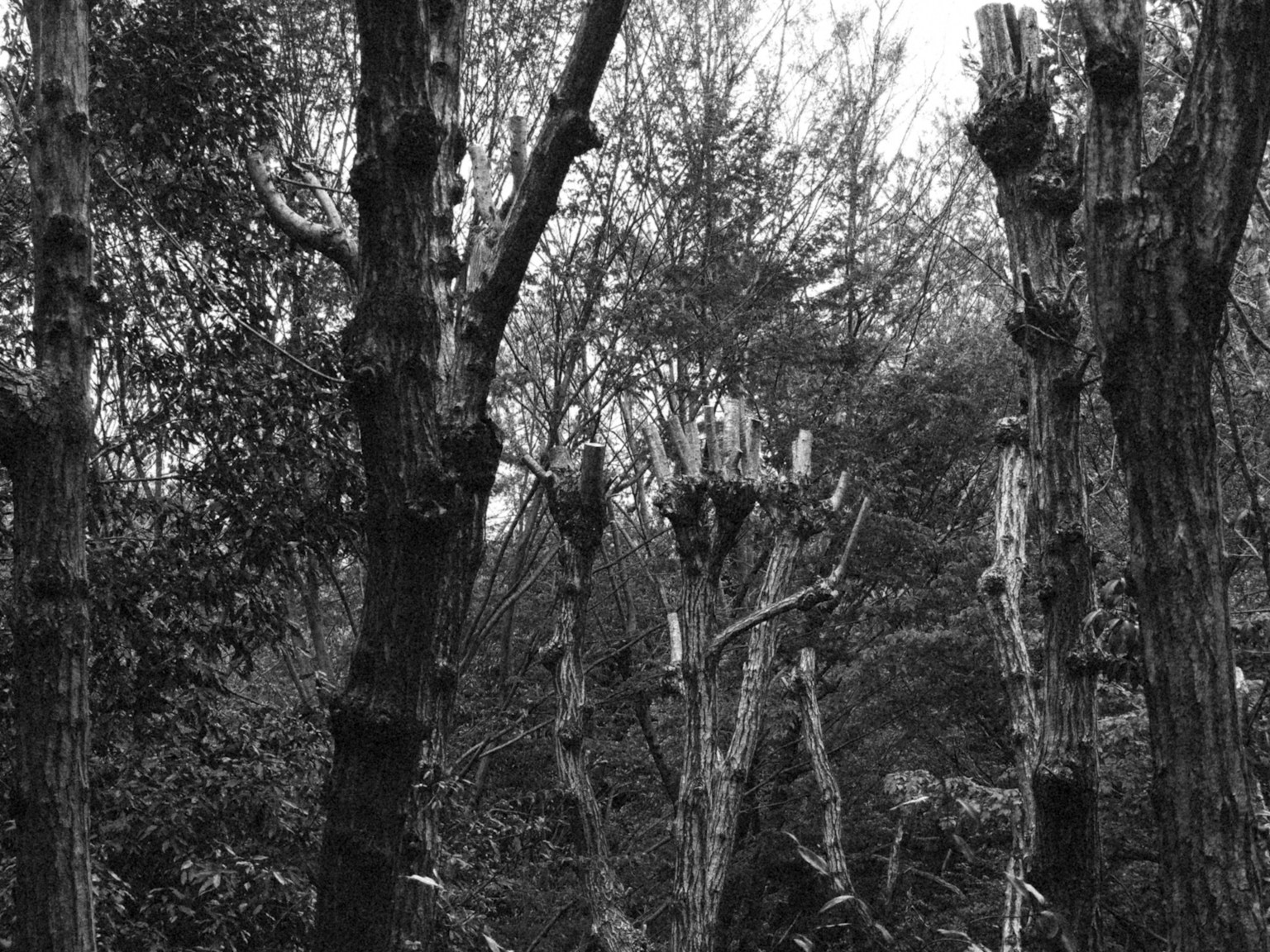 photo-SeVIgjCvovwdTzVbvPqx-image