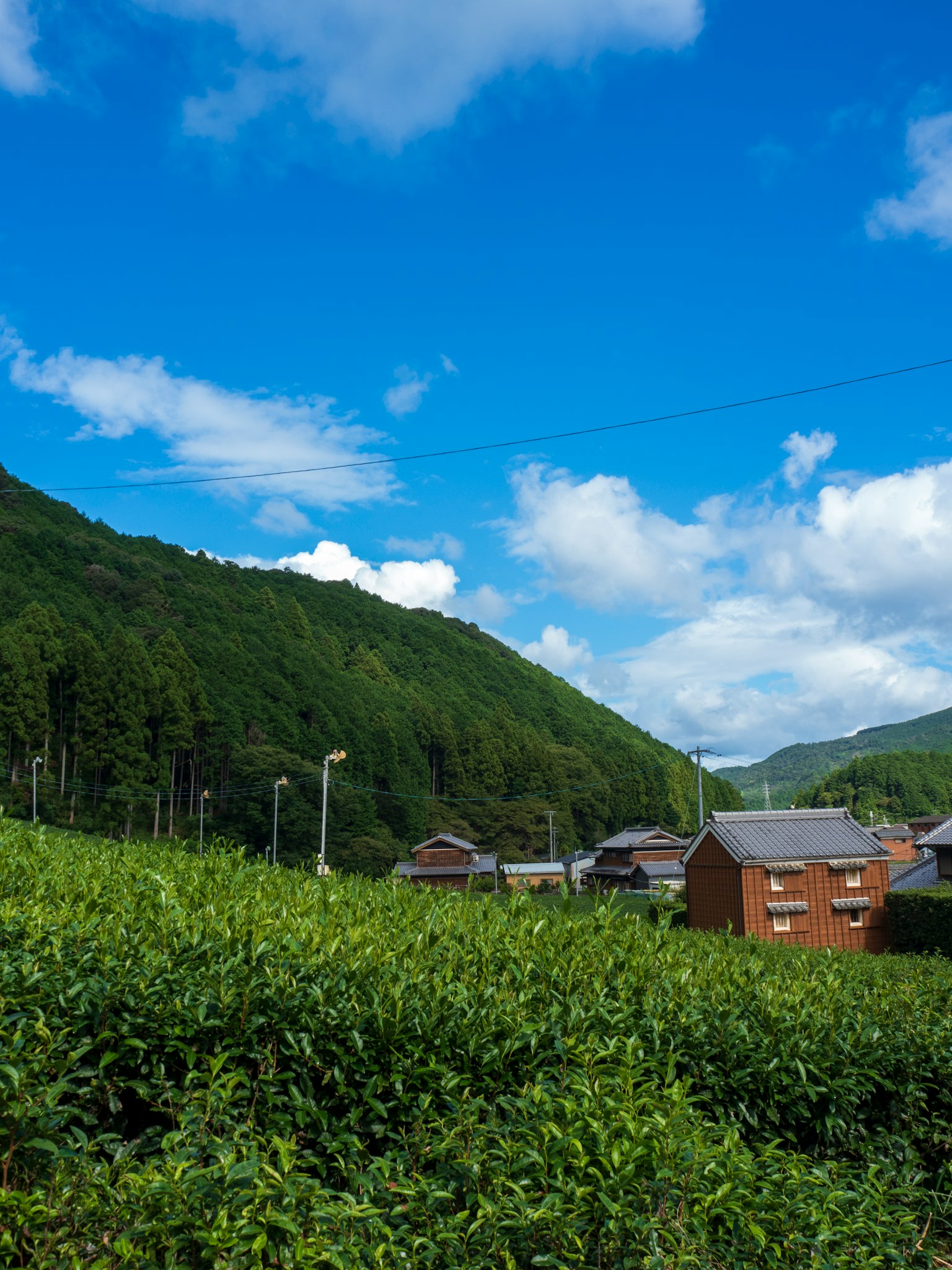 Malersiche Aussicht auf grüne Berge und blauen Himmel mit ländlichen Häusern