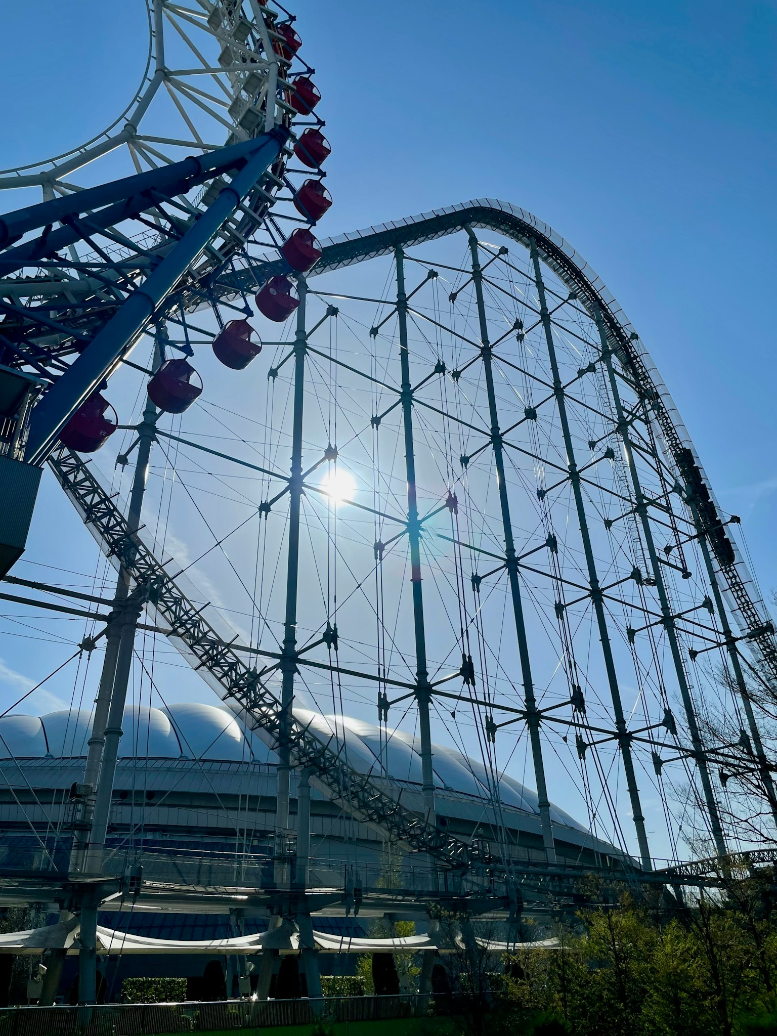 Scena di parco divertimenti con ruota panoramica e montagne russe