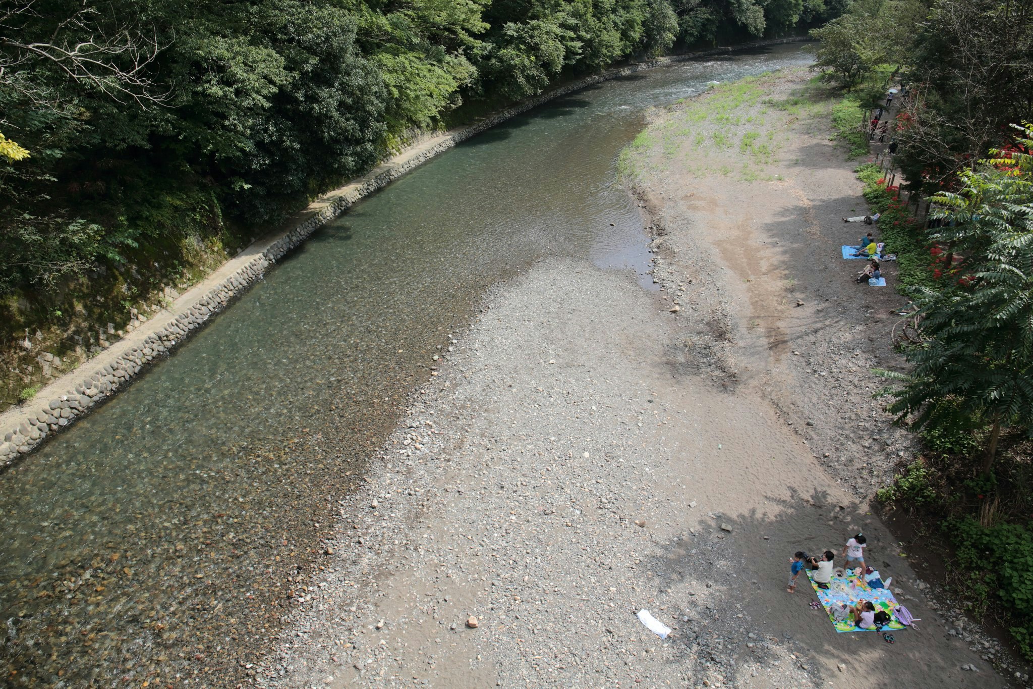 川沿いの緑に囲まれた川面と小さなボートのある風景