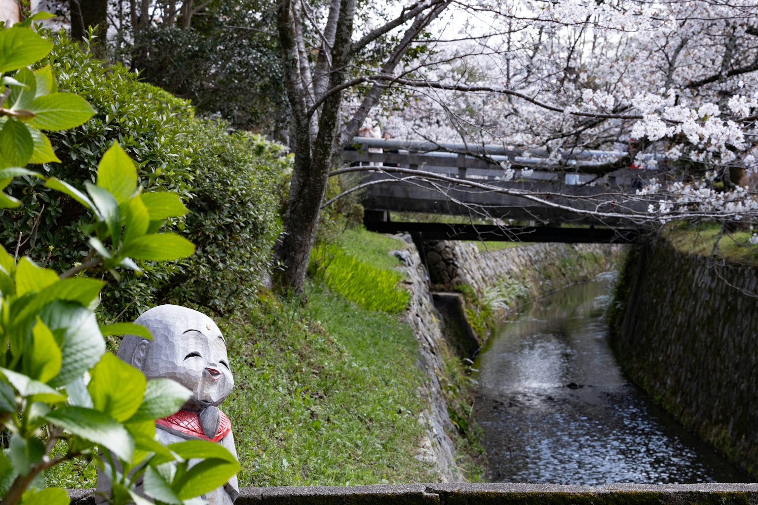 photo-Sf39Qvs8gePl7DIDyuWD-image