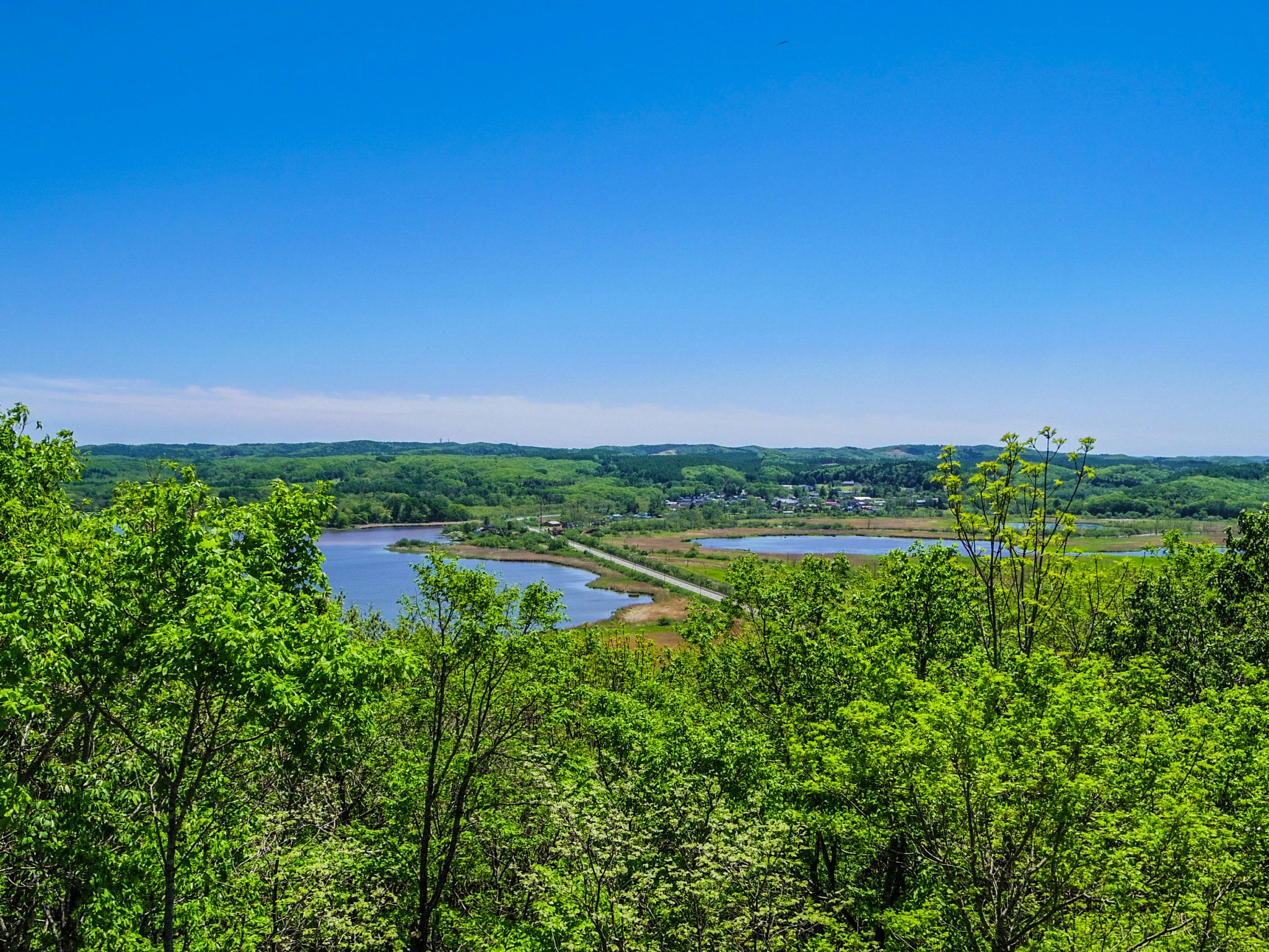 scenic view of a river valley and lush greenery from a hillside