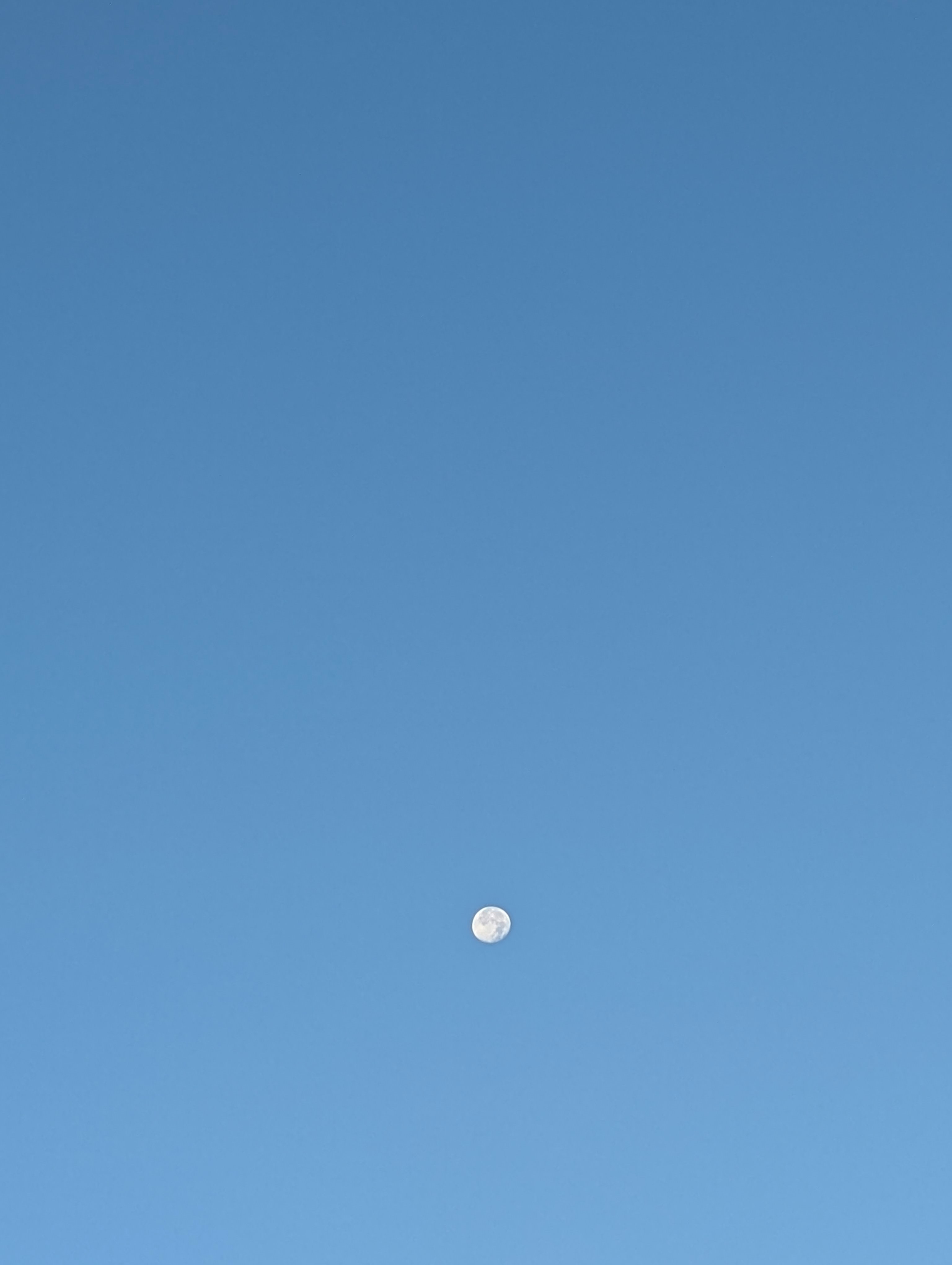 bulan kecil di langit biru yang cerah