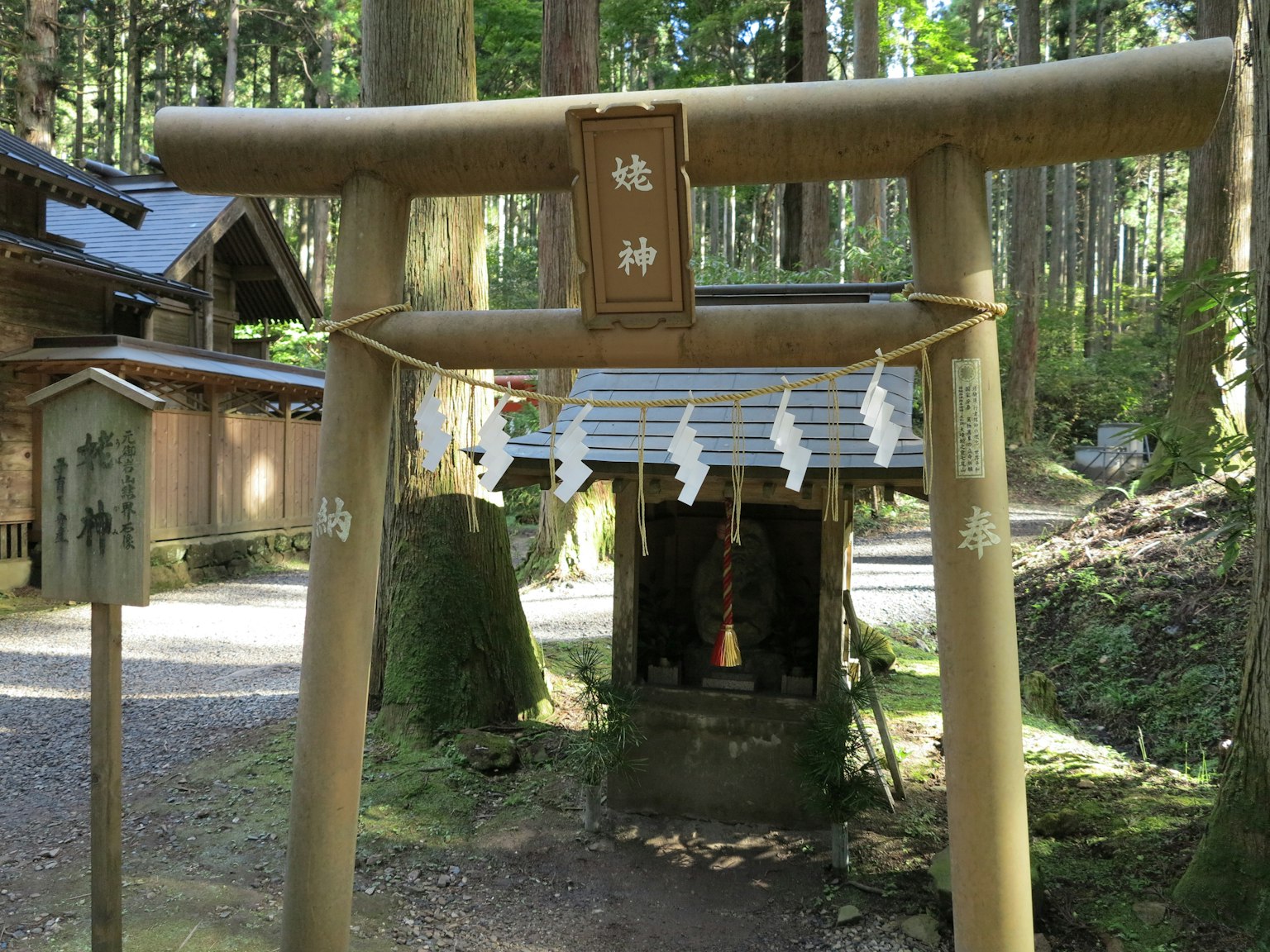 Una puerta torii que conduce a un pequeño santuario en un entorno forestal