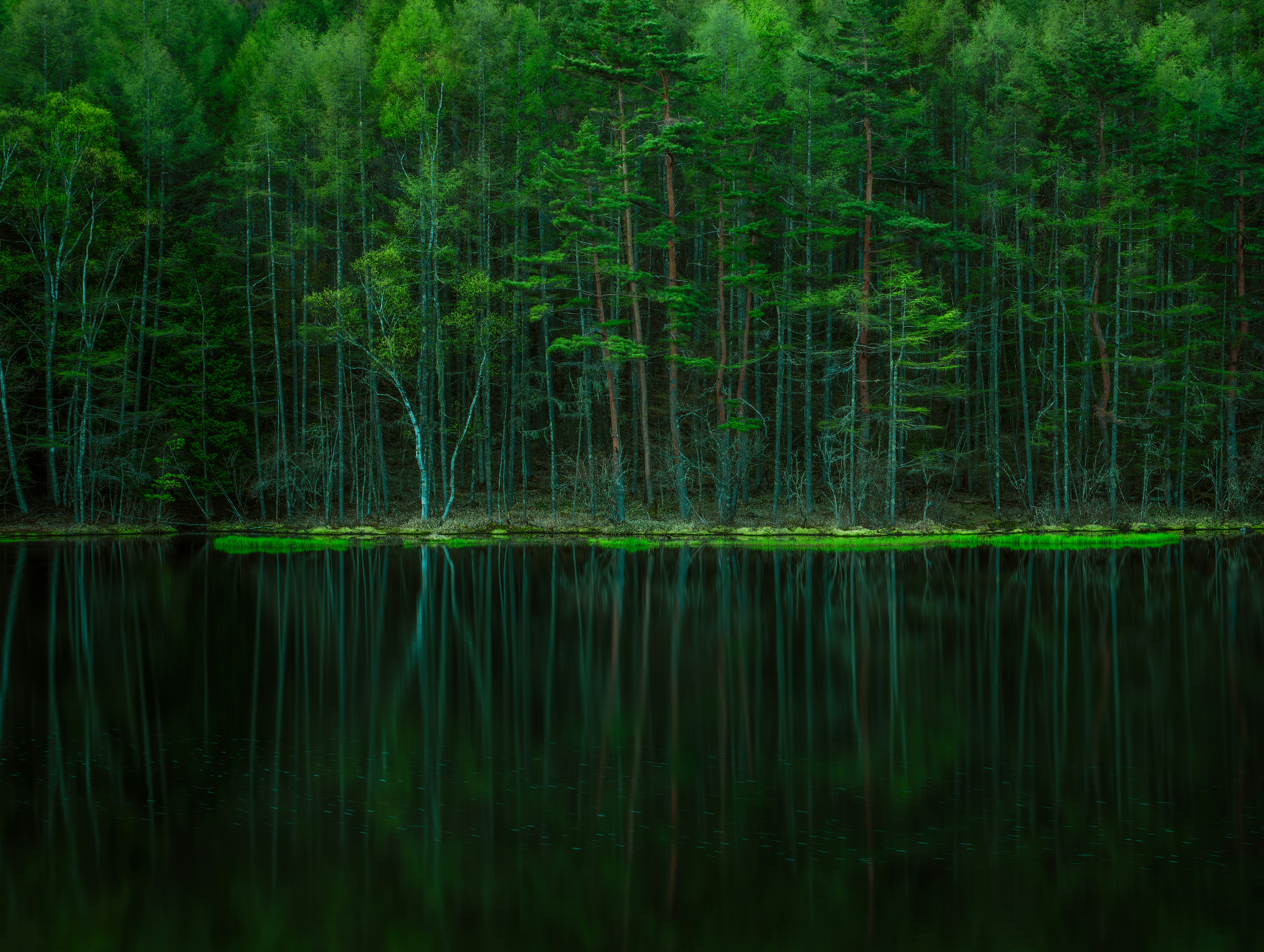 Le bassin de Miyashika avec la forêt et ses reflets sur l’eau