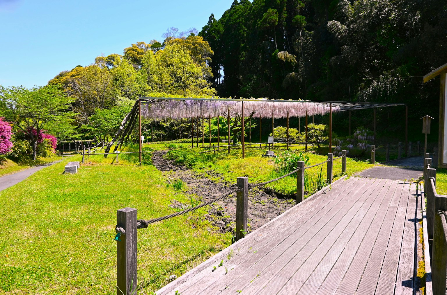 Vista panoramica di un sentiero nel giardino con un ponte in legno e vegetazione lussureggiante