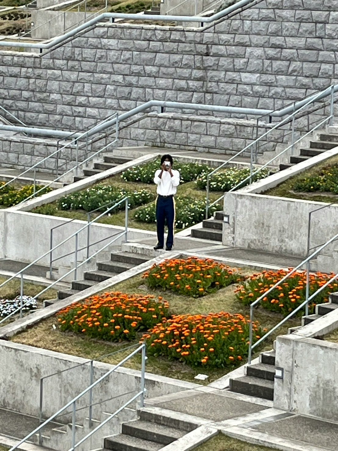 段々の花壇と石造りの階段のある屋外庭園