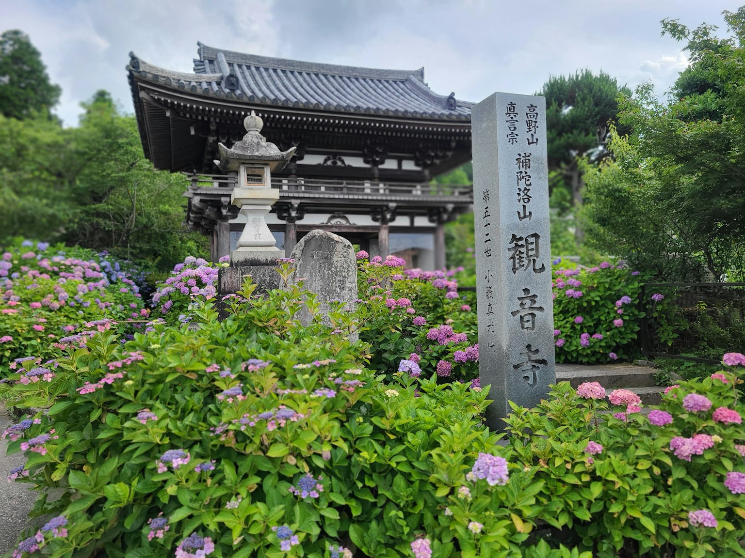 Malerscher Blick auf den Kannonji-Tempel umgeben von blühenden Hortensien