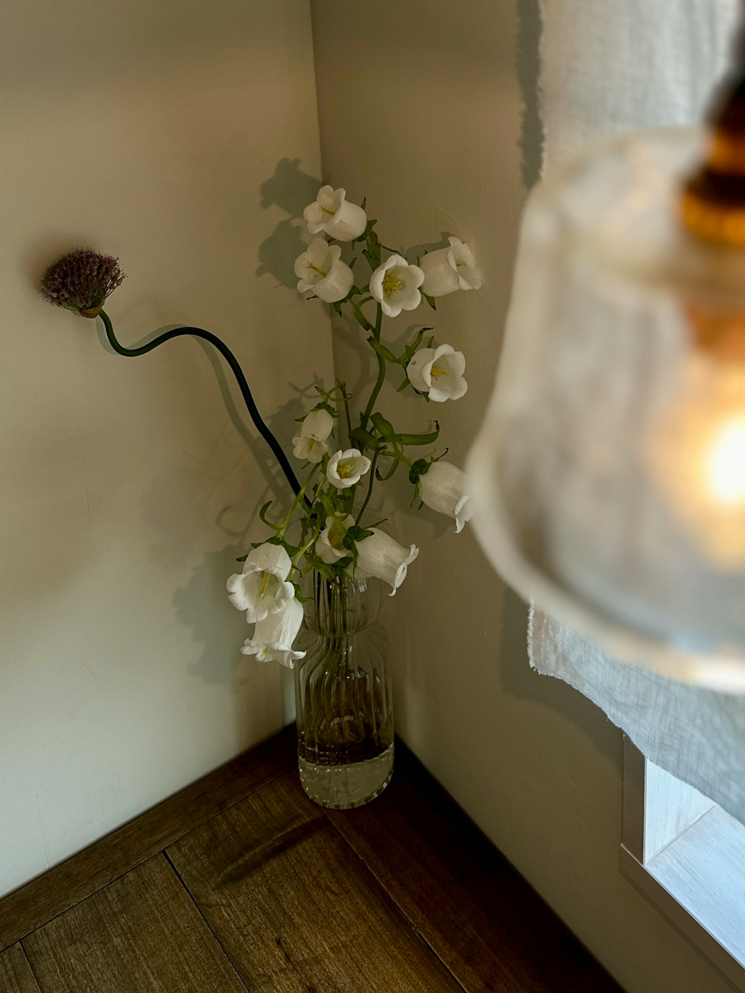 Gemütliche Ecke mit weißen Blumen in einer Glasvase