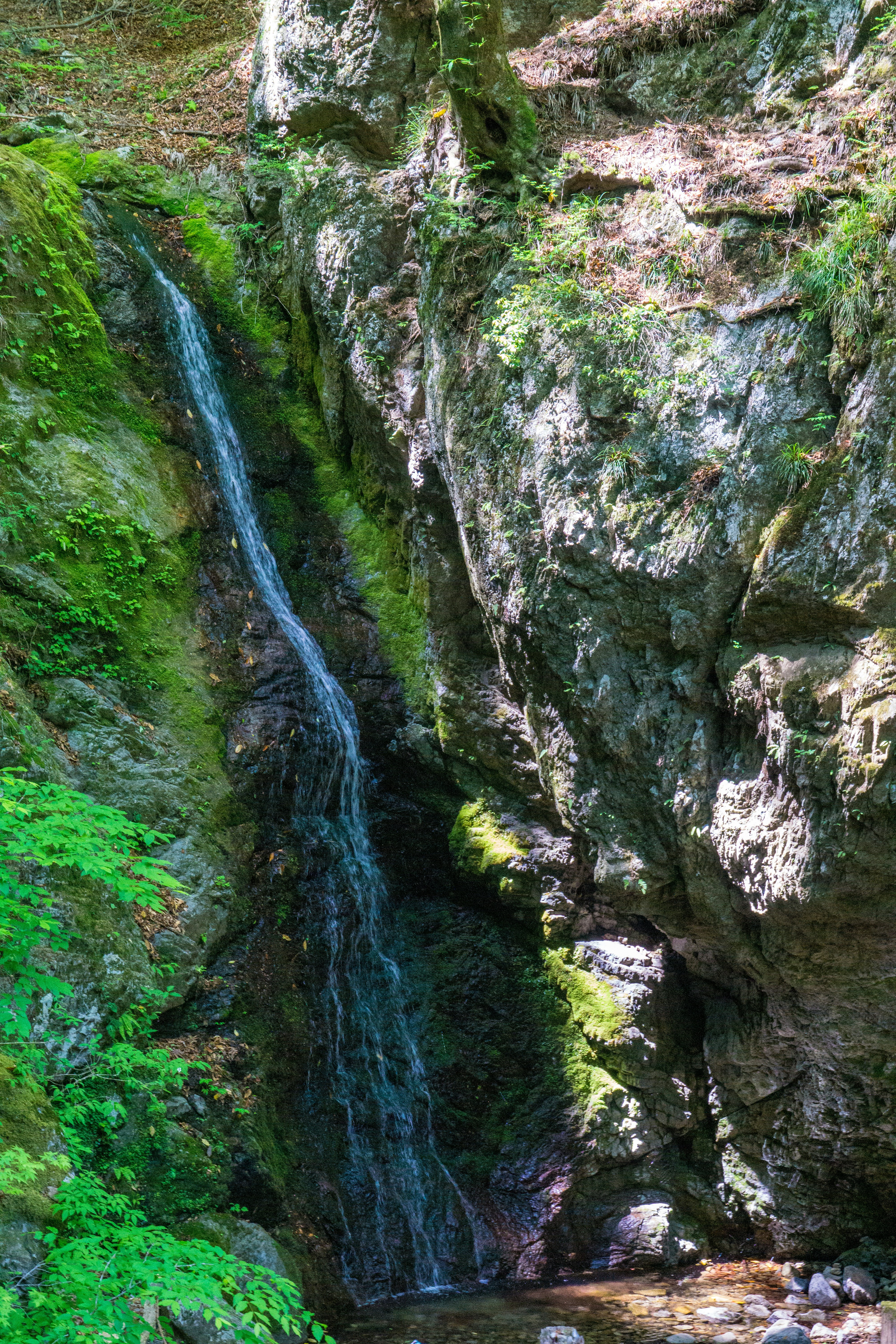 grüner Wasserfall, der über Felsen und Klippen hinabstürzt