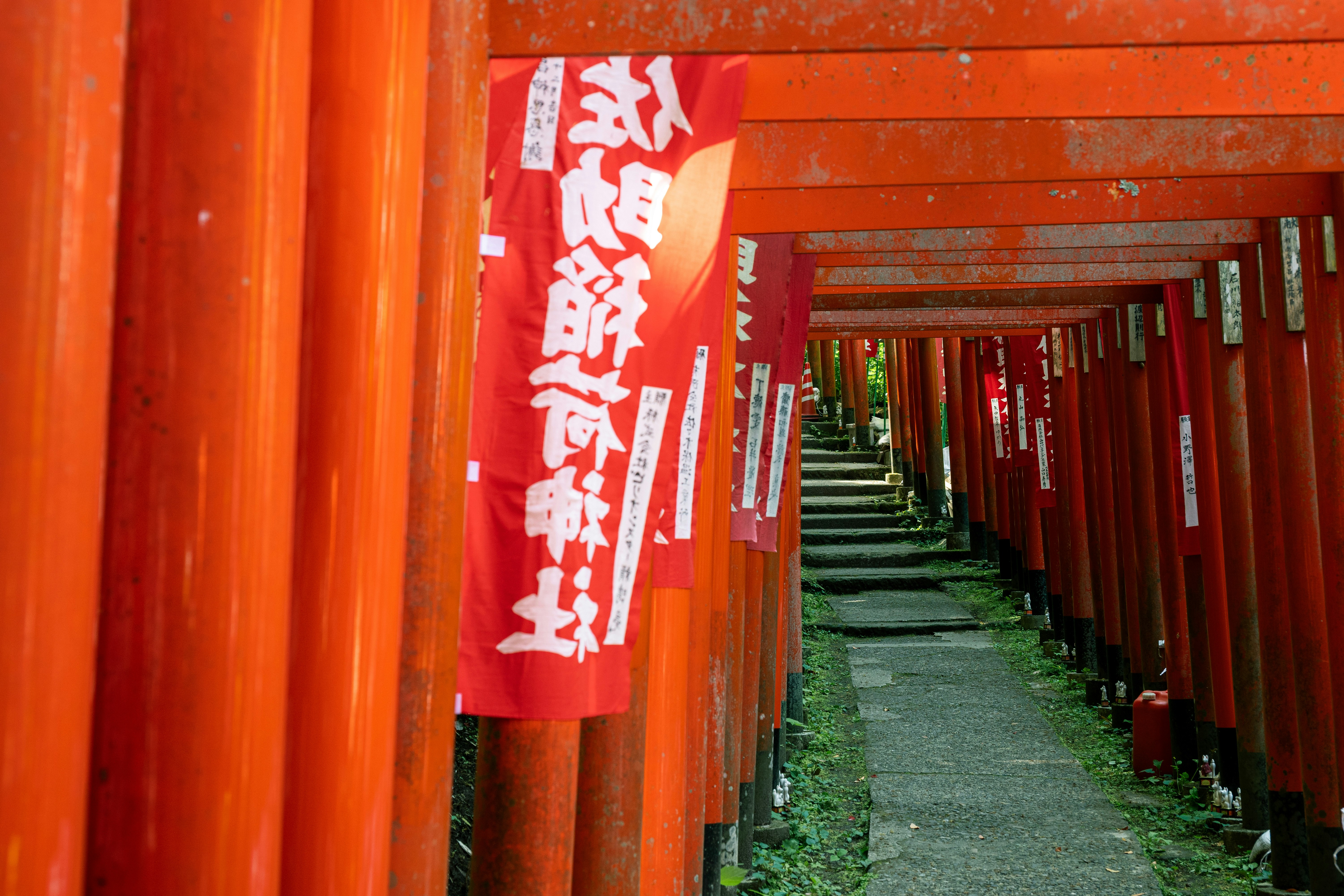 朱色の鳥居が連なる参道の奥行き