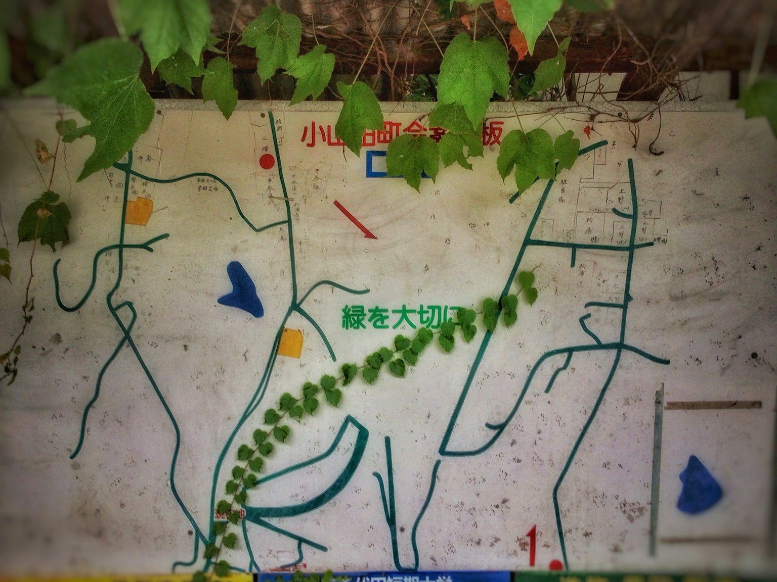 Kartenzeichen umgeben von grünen Blättern bunte Marker darauf gezeichnet