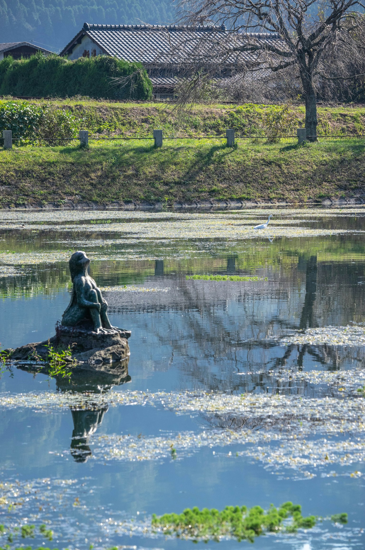 Statua riflessa nell'acqua calma con vegetazione circostante