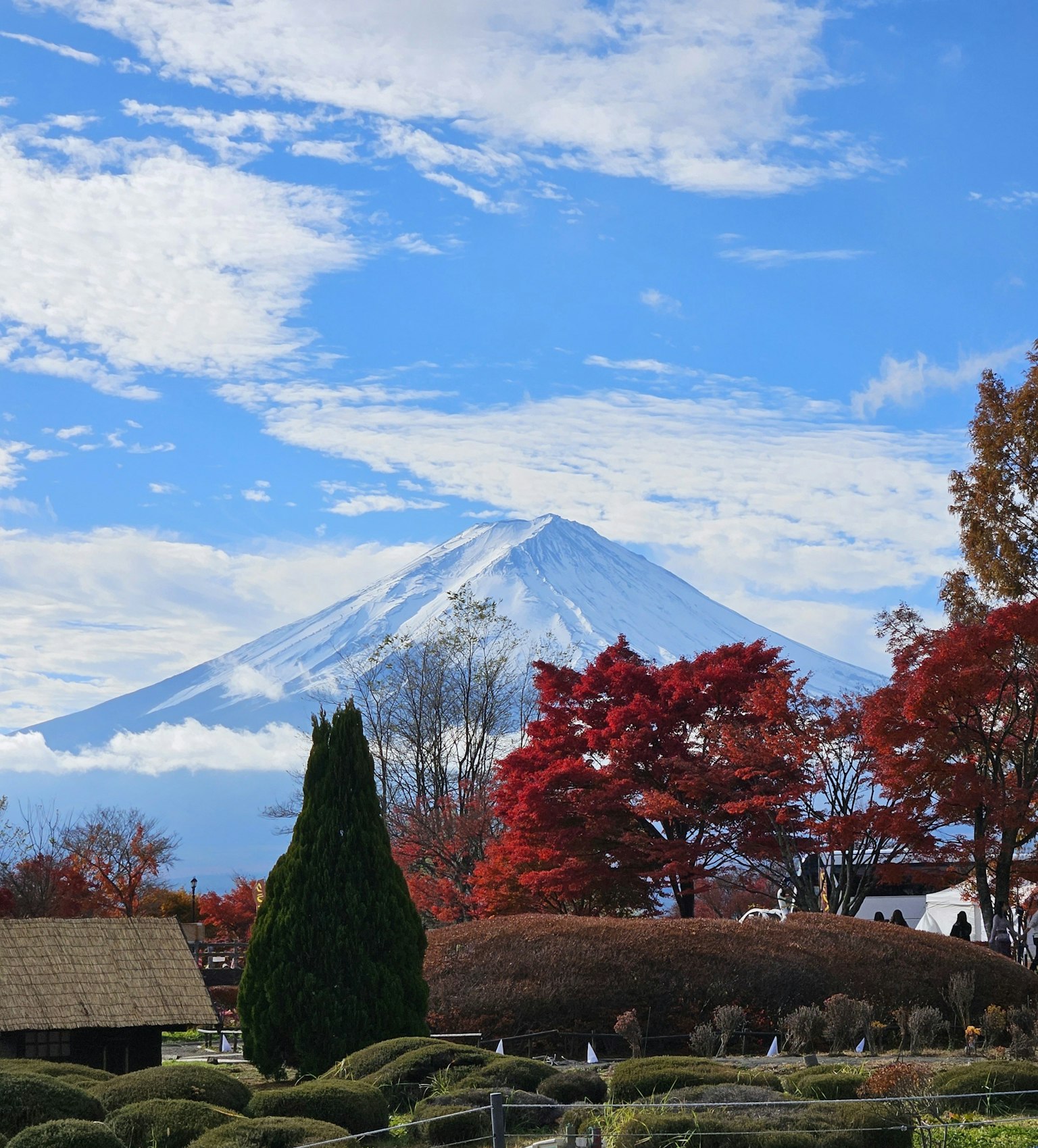 Paesaggio bellissimo con il monte Fuji e il fogliame autunnale