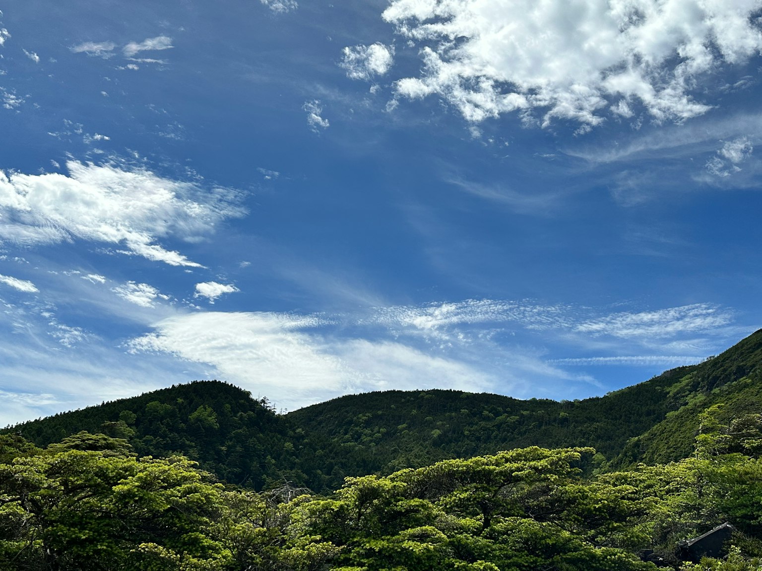 郁郁葱葱的绿色山脉在蓝天和白云下