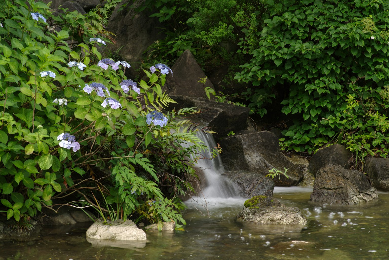 Pemandangan tenang di tepi air dengan vegetasi subur dan air terjun kecil