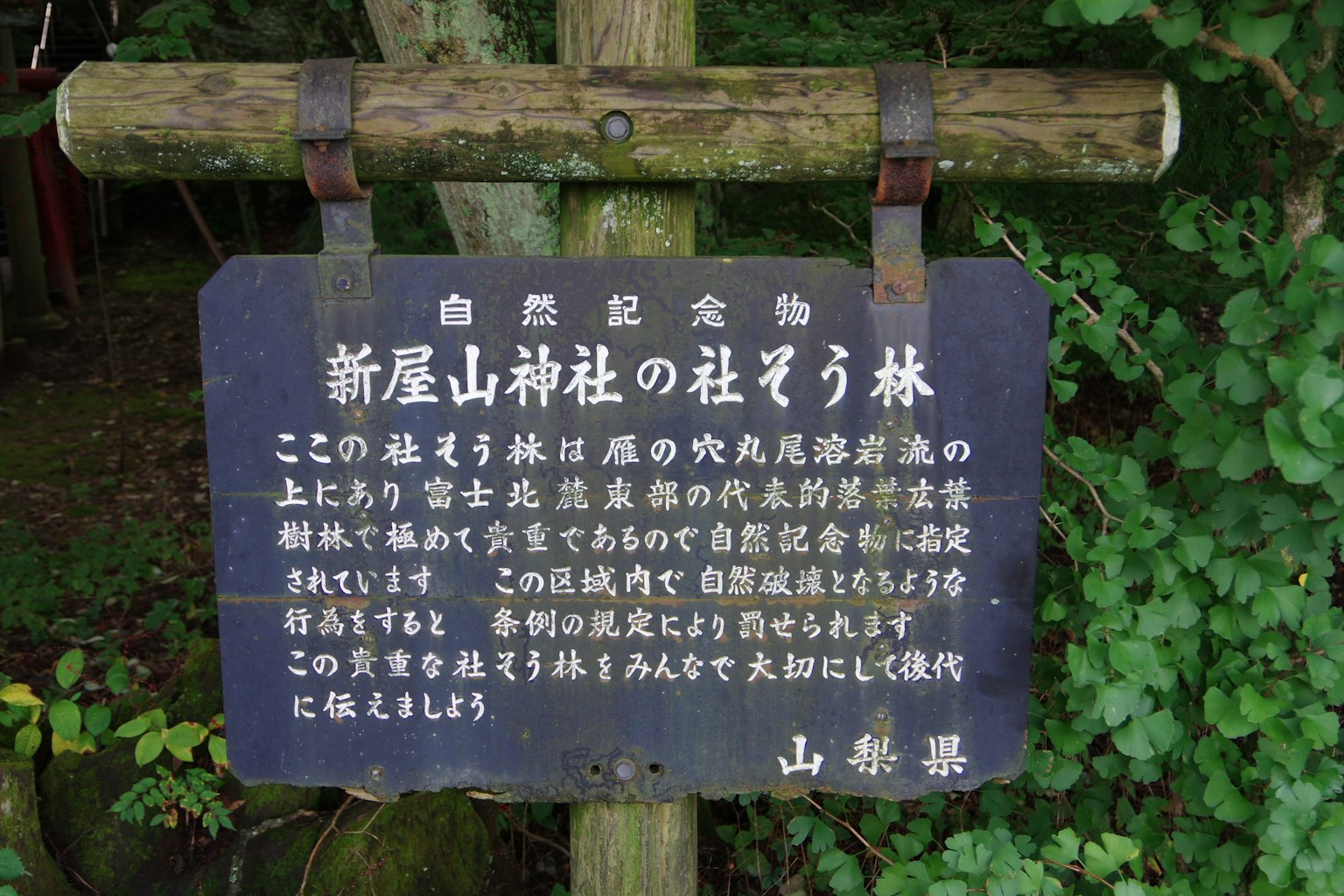 Signboard of Araya Mountain Shrine in the forest