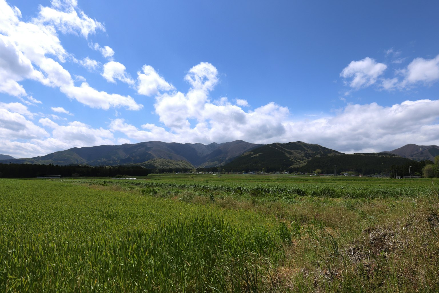 Landscape with blue sky and white clouds green fields and mountains in the background