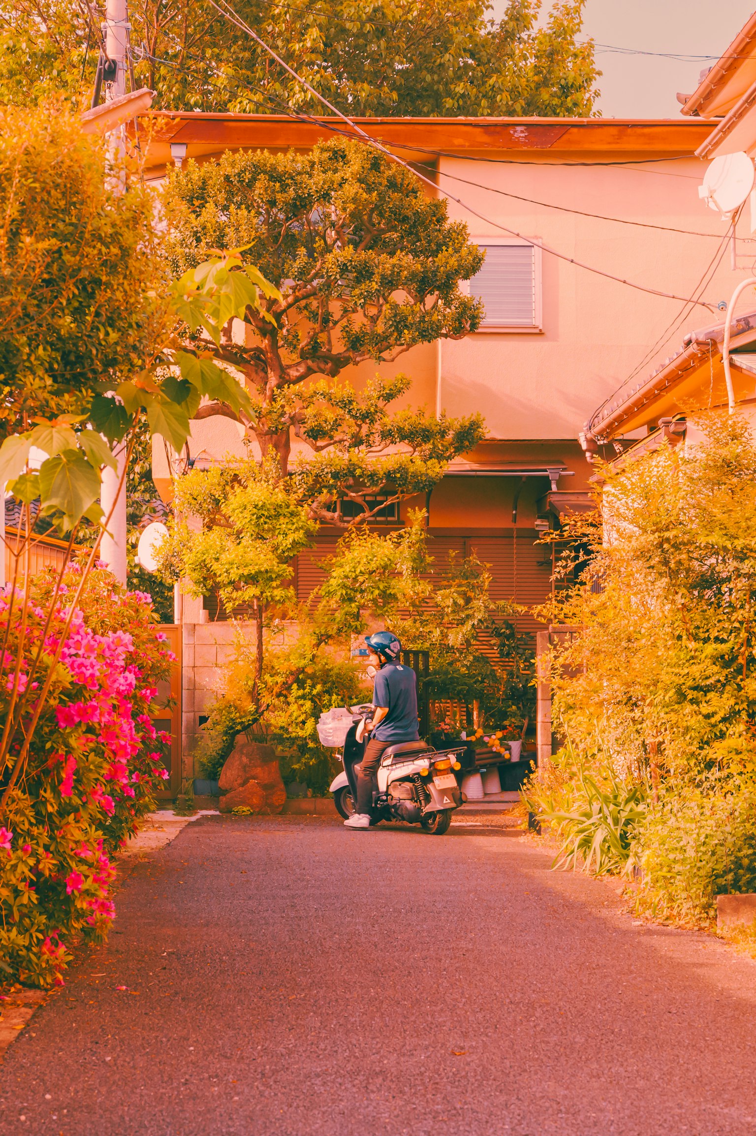 一條風景如畫的小路,旁邊有色彩斑斕的花朵和一輛停放的摩托車