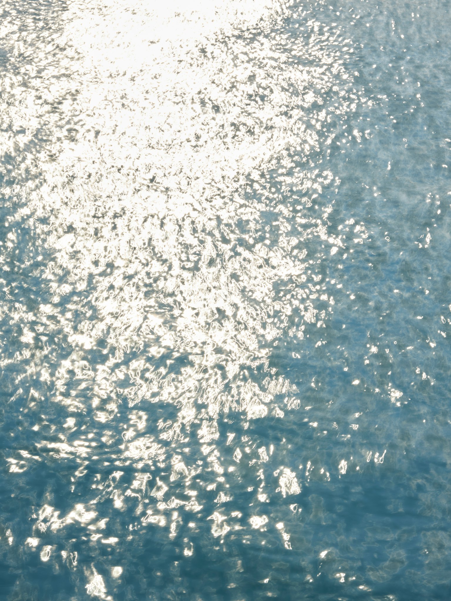 photo-SkVzXL0f4i5QYfc6Cfu8-image